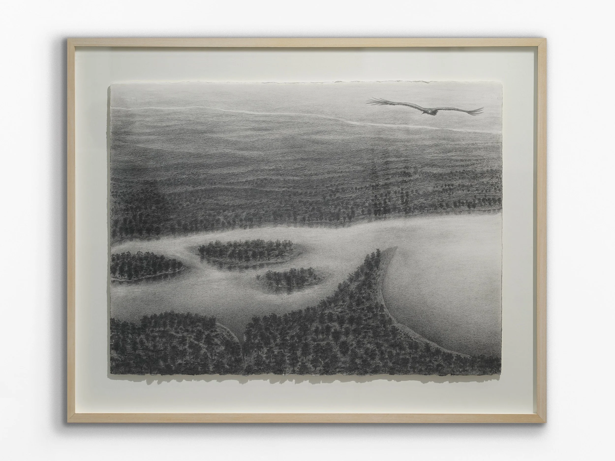 Beelier (River), 2015