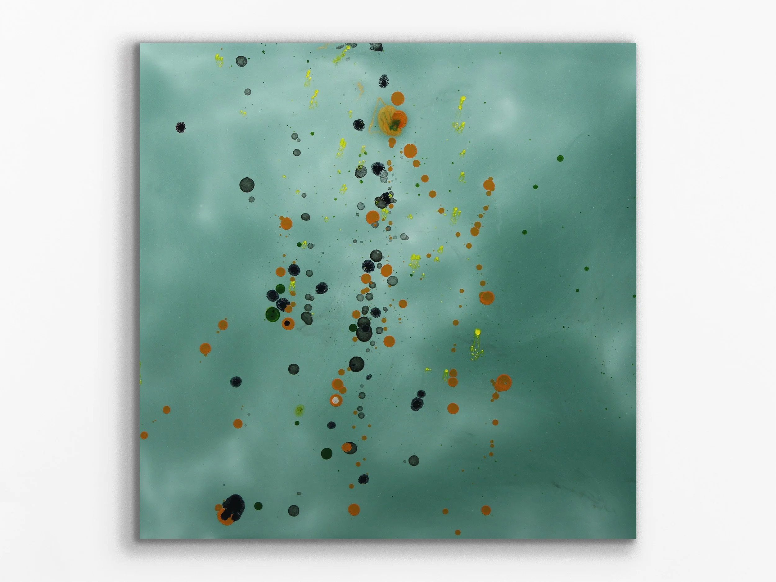 Xylem series - Terfesia28, 2017