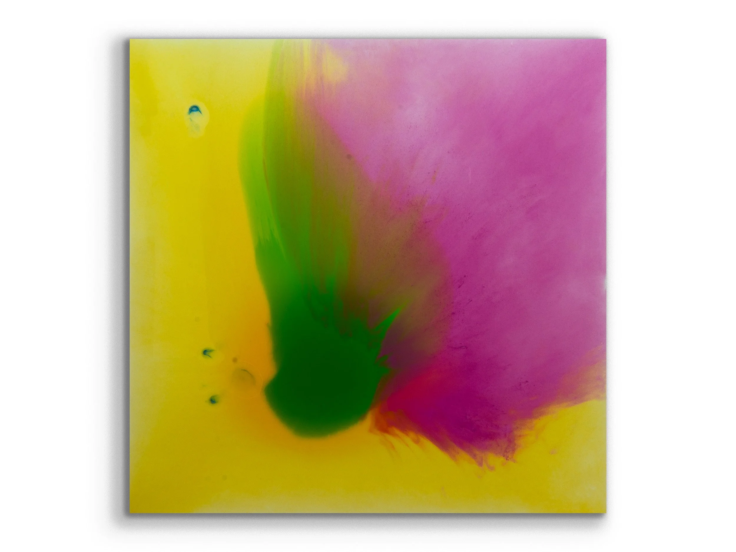 xylem series: argyria24, 2025