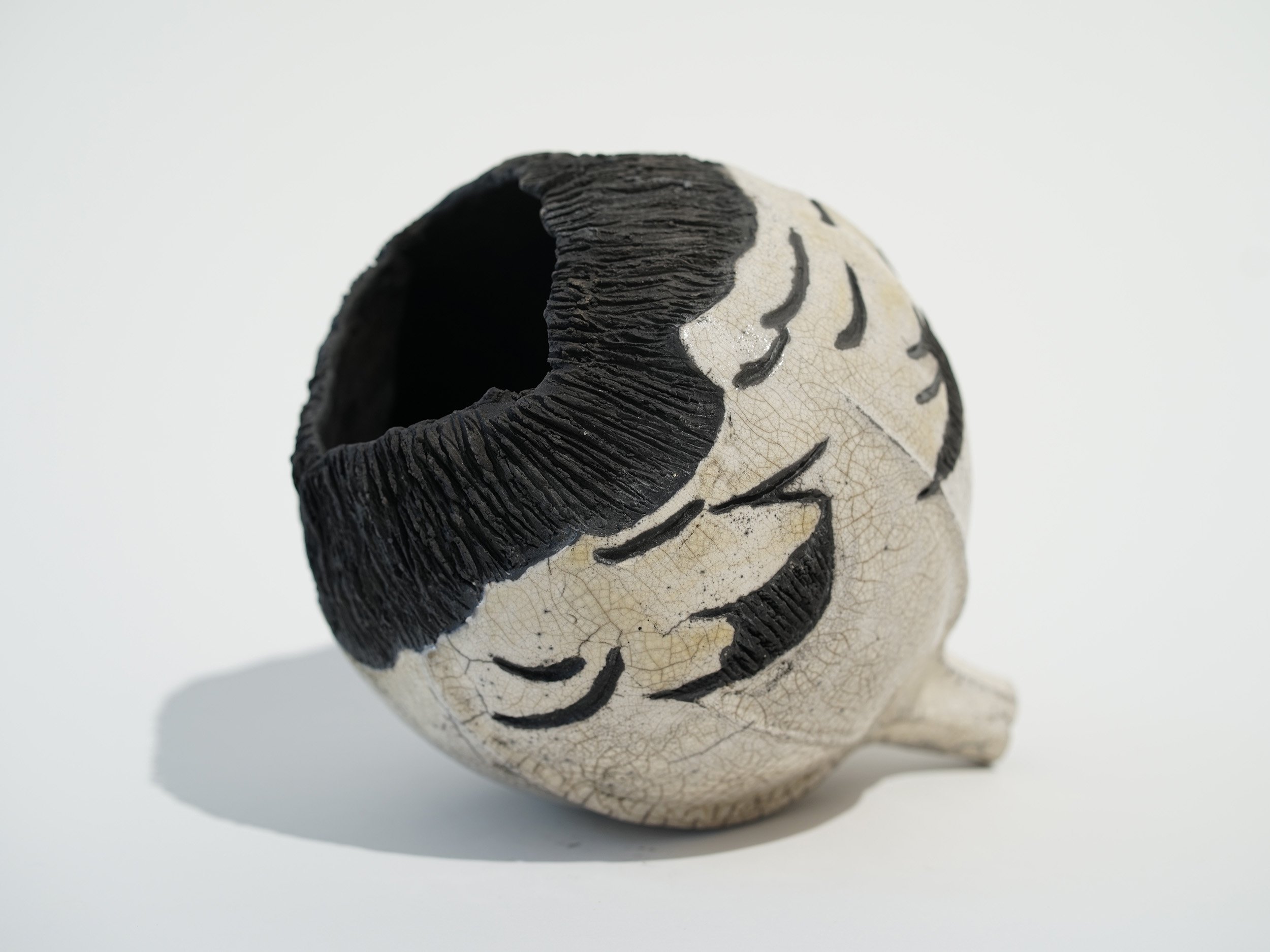 Gnawed Marri Seedpod 295, 2022