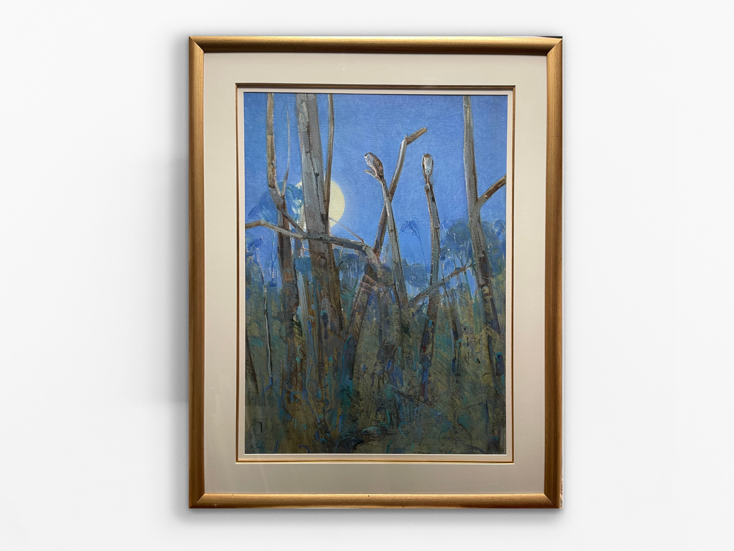 Barn owls lost, 1998