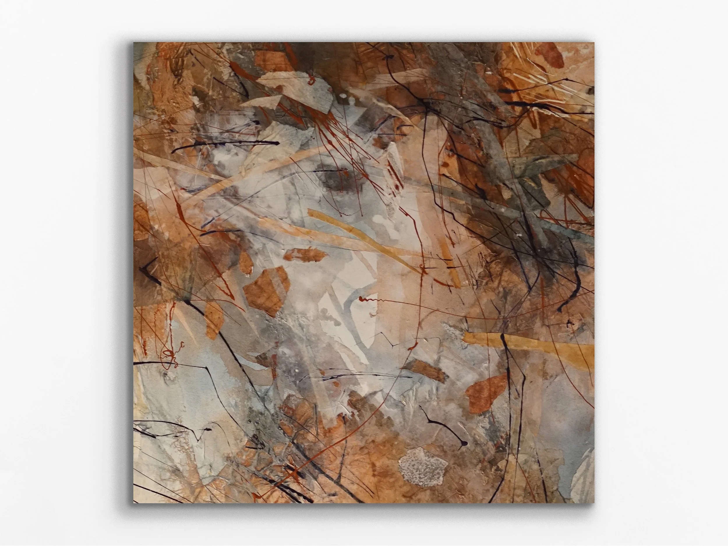 Kimberley Billabong V