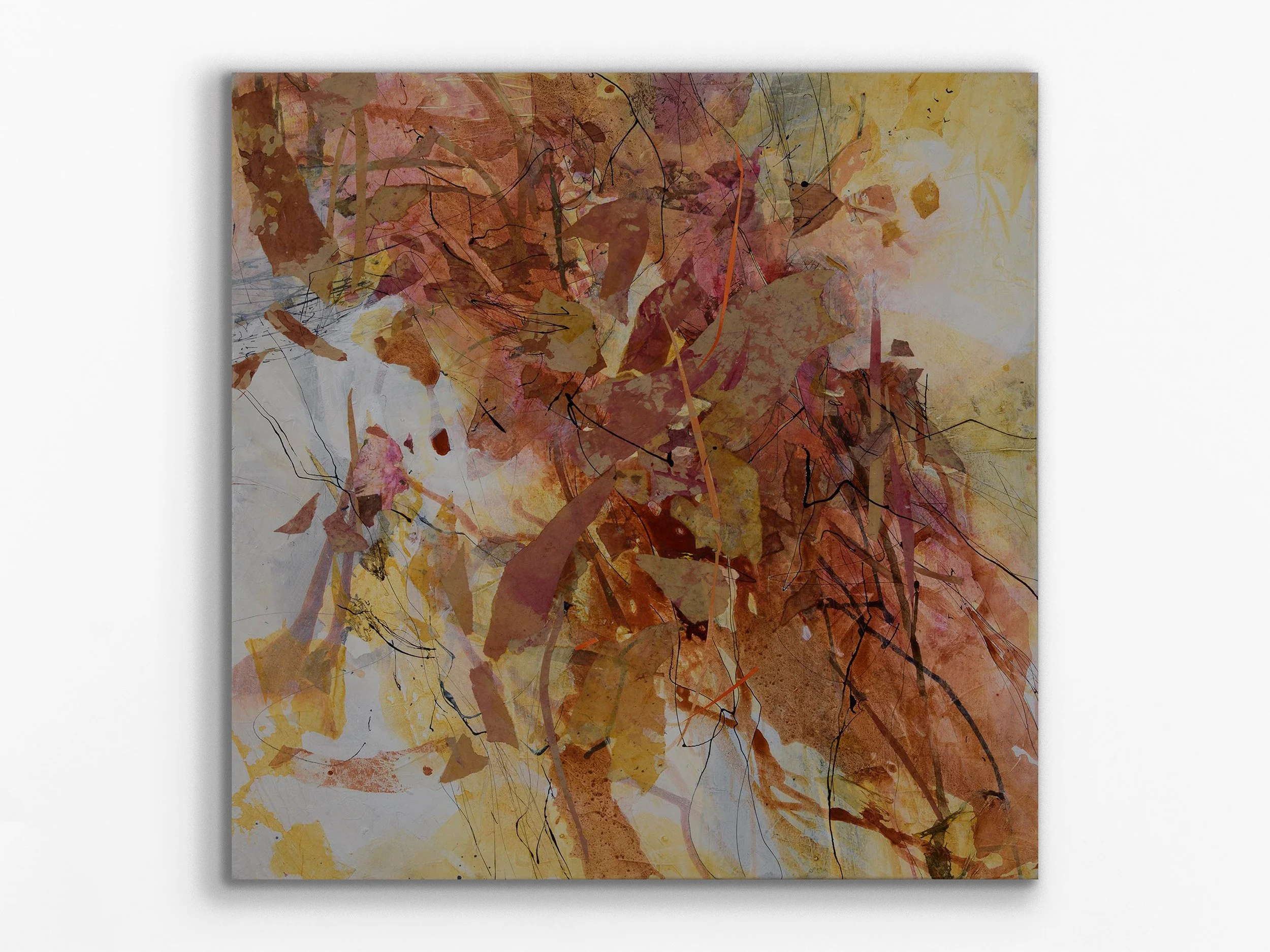 Creek Edge Seasonal Change, 2026