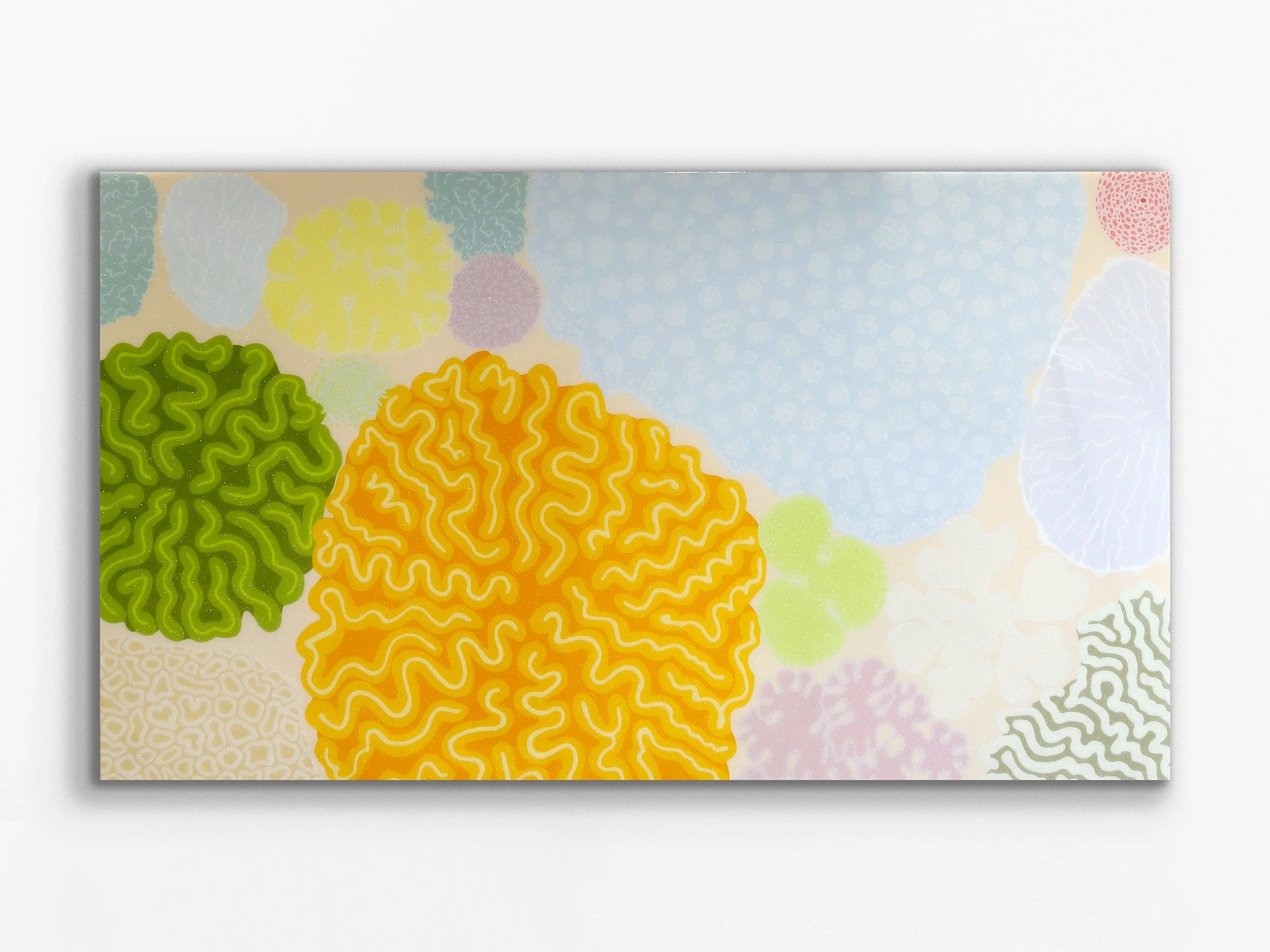 Soft Corals, Ningaloo, October 2024, 2025