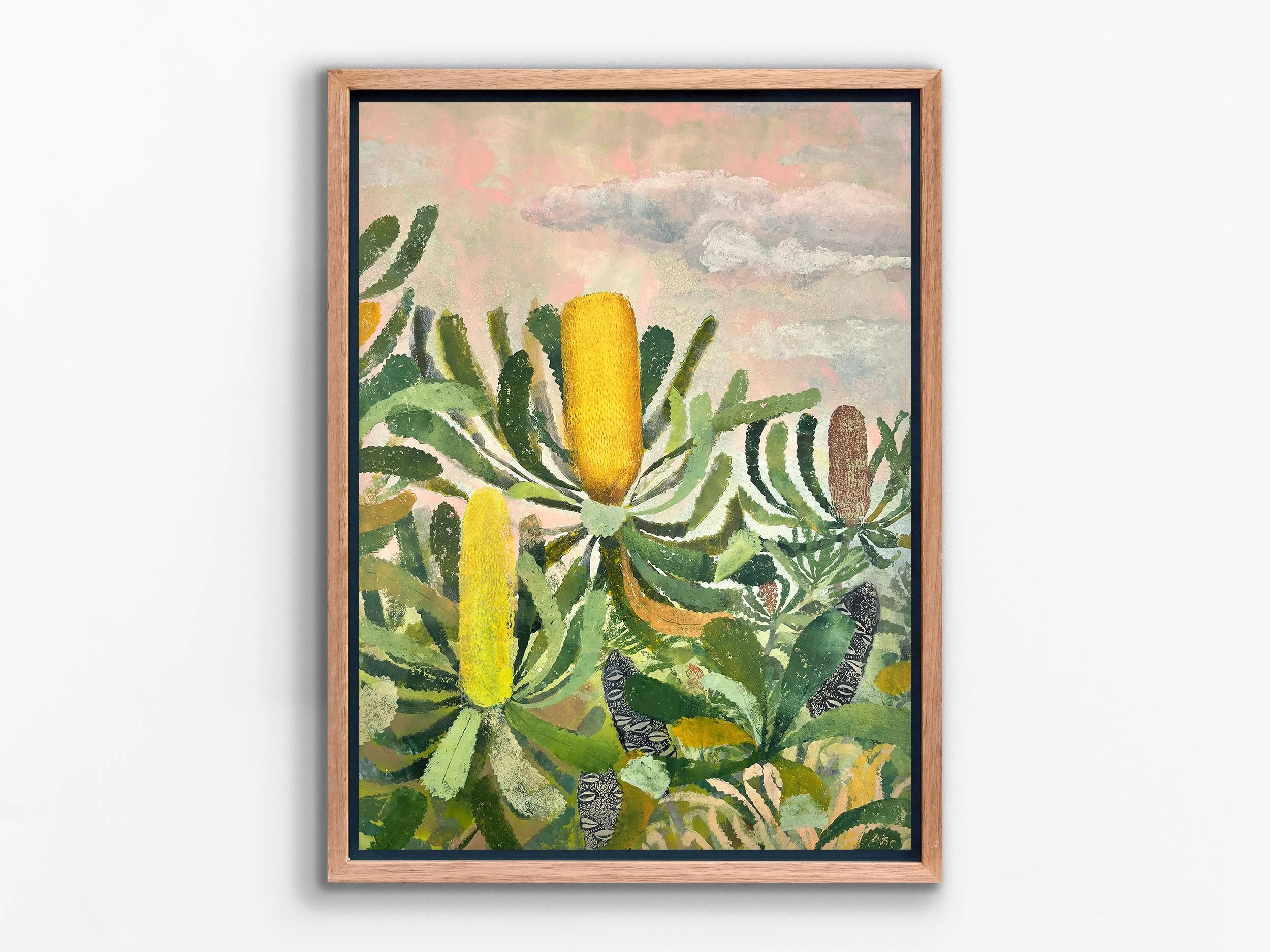 Pink Sky Banksia, 2026