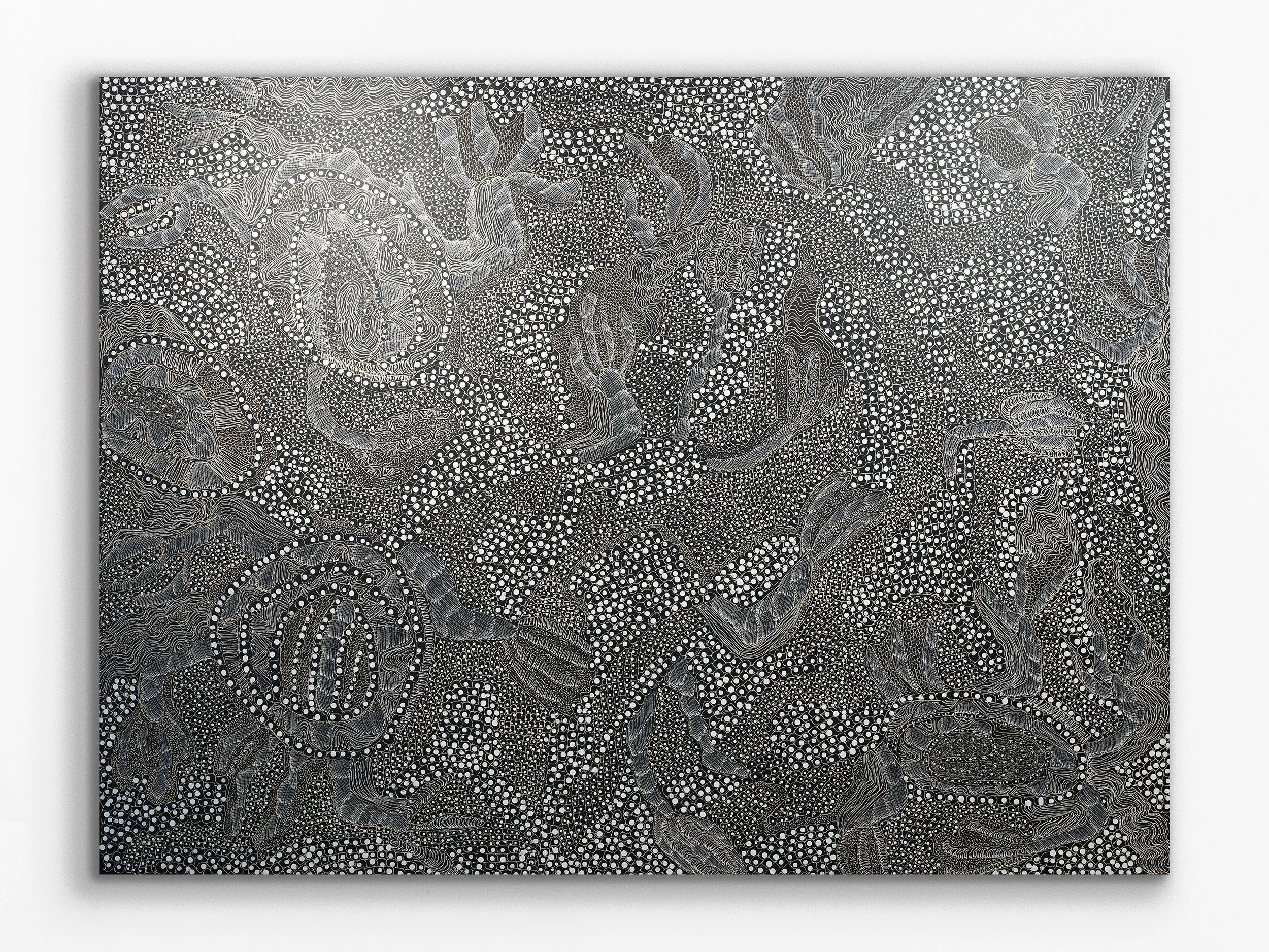 Ngintaka Perentie, 2024