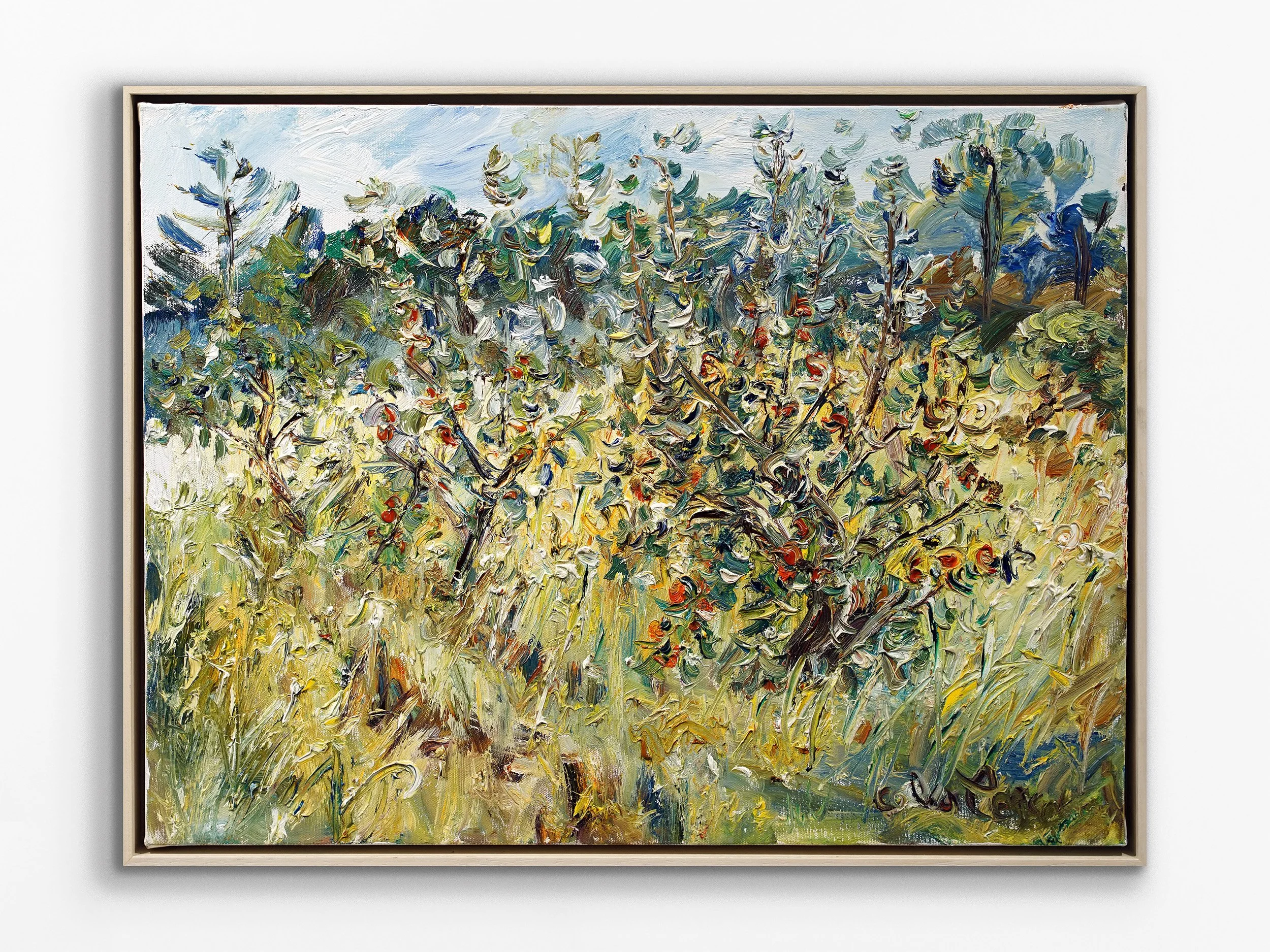 Apple Orchard at Merricks North