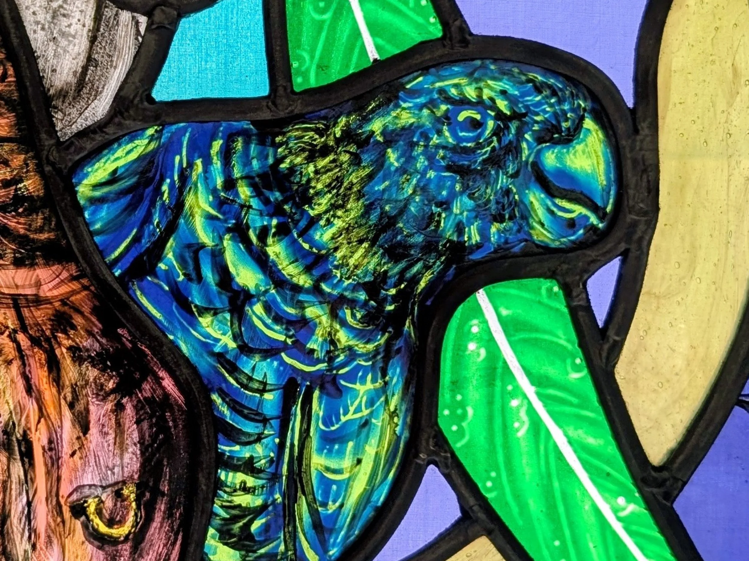 30065_Bush Wee=Parrot Det_Hannah Gregory.jpg