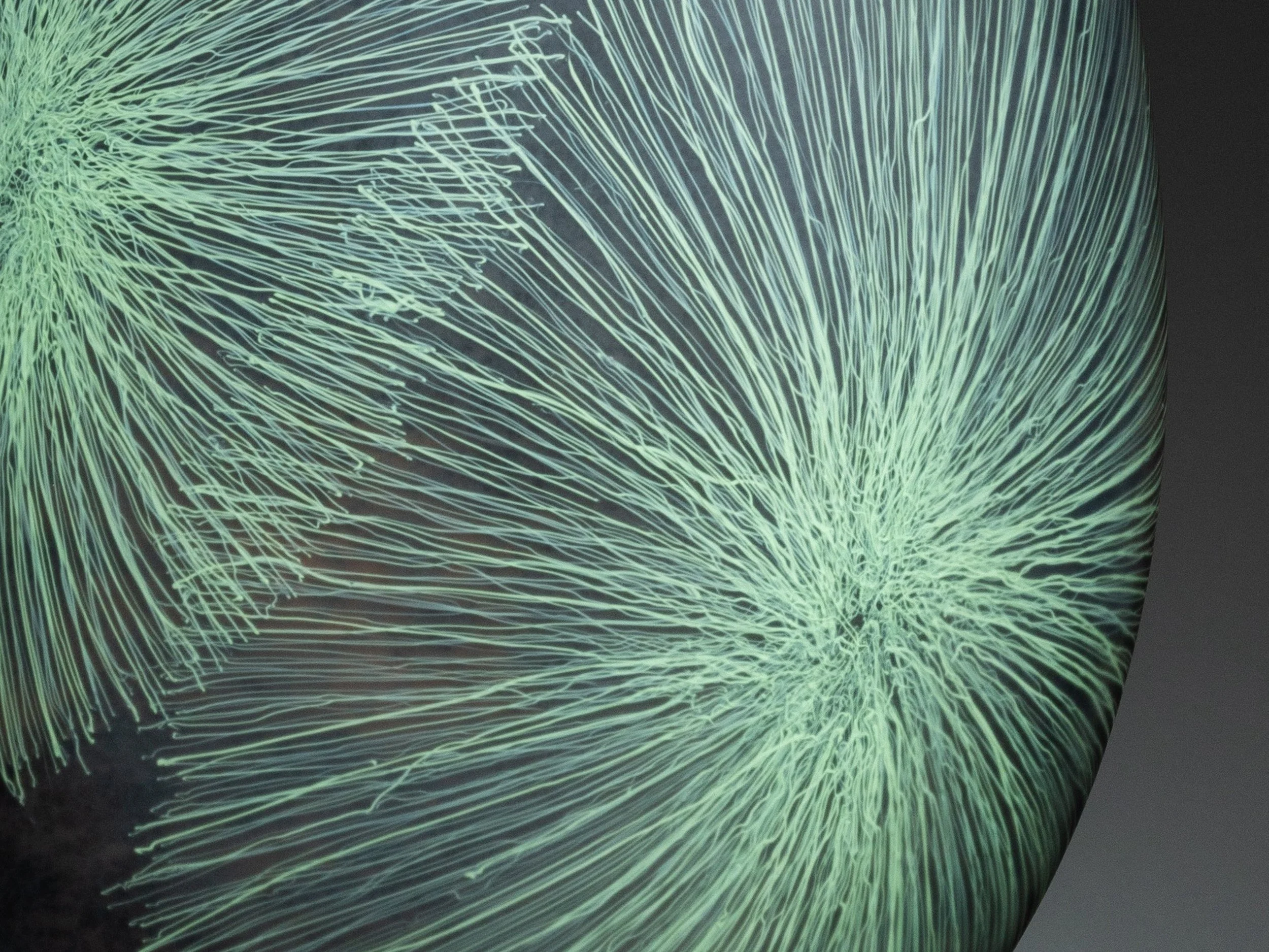 30060_Super Abundance _14  (1).jpg