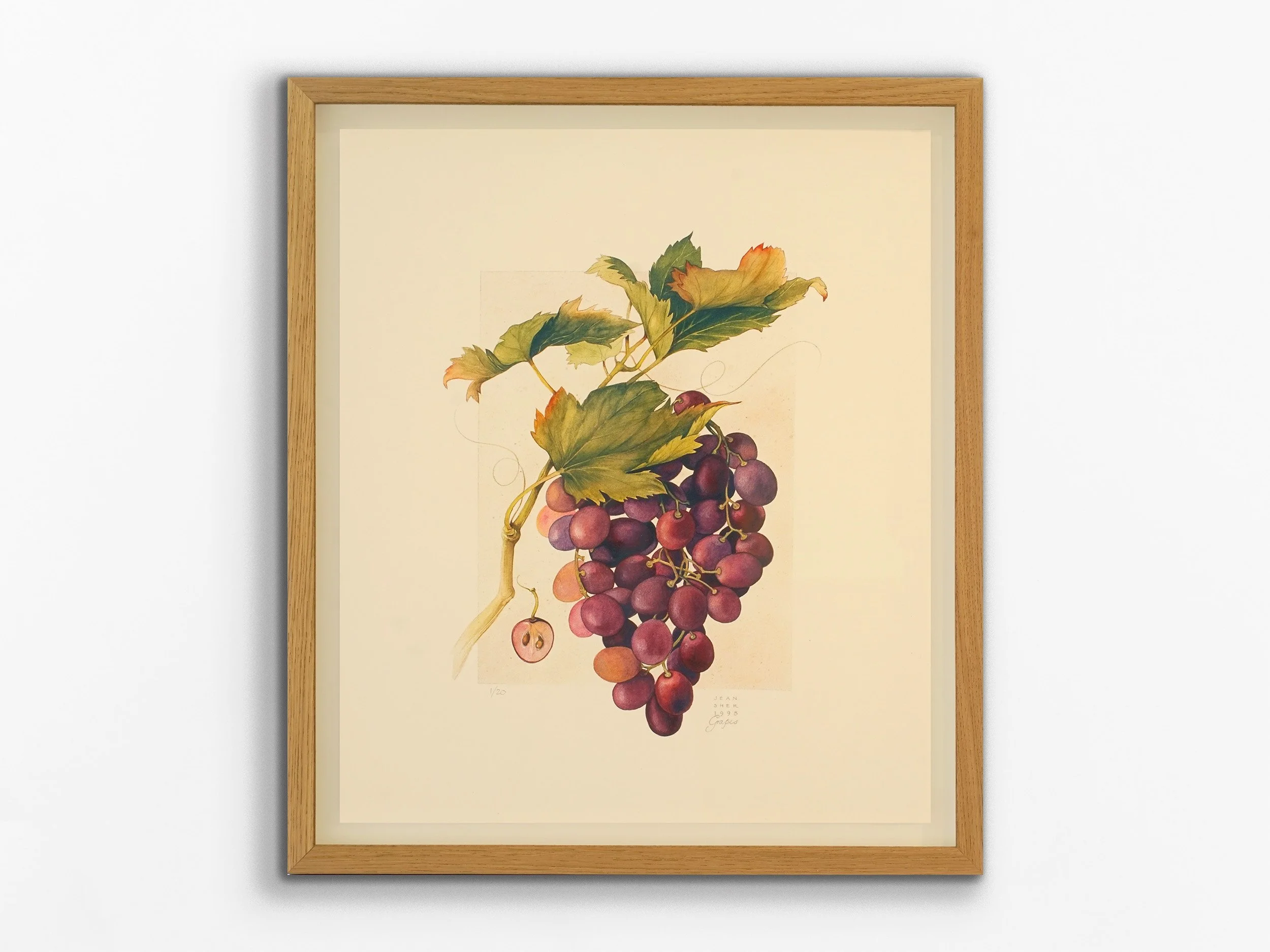 Grapes, 2026