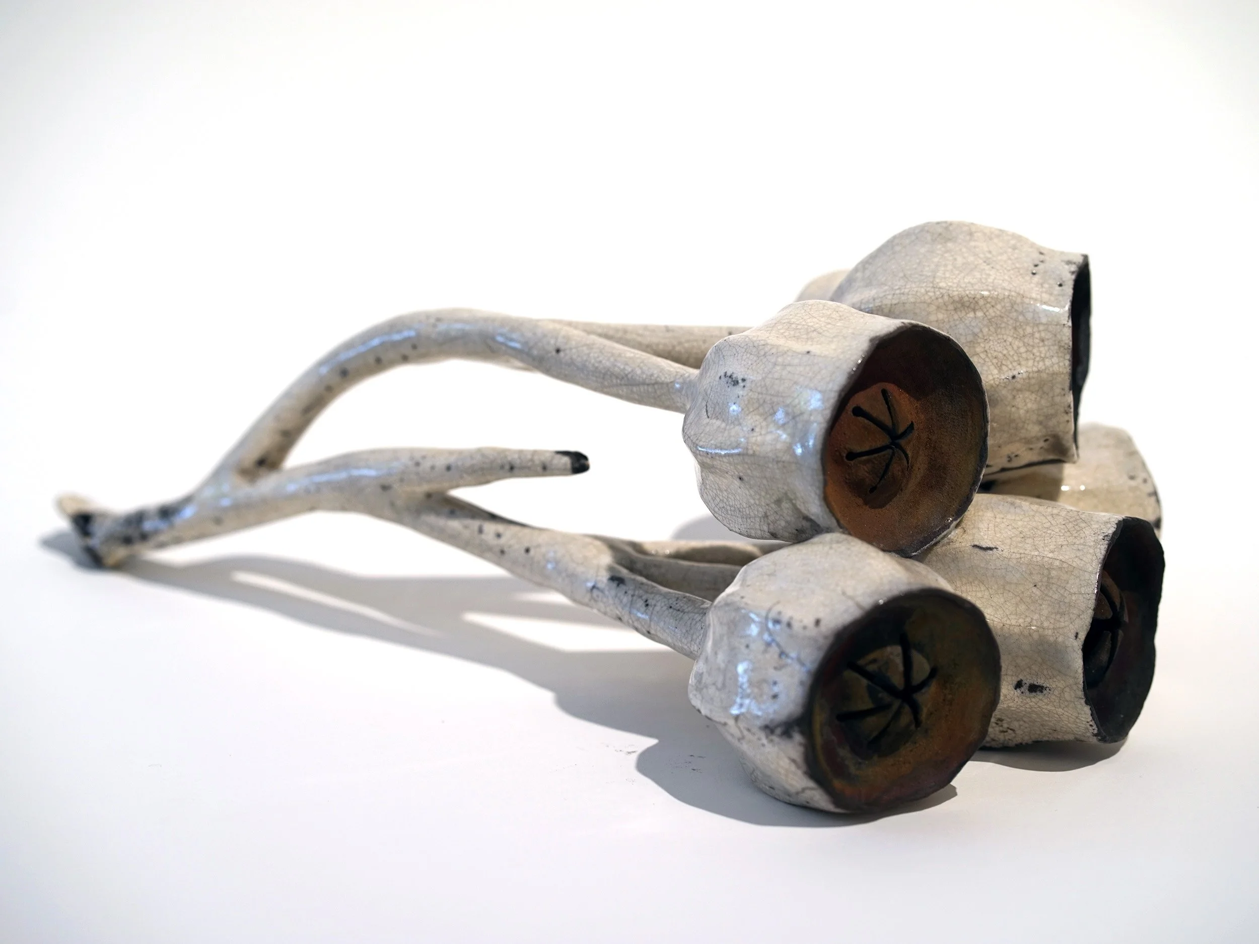 Fallen Princesses, Seapod No. 325, 2023