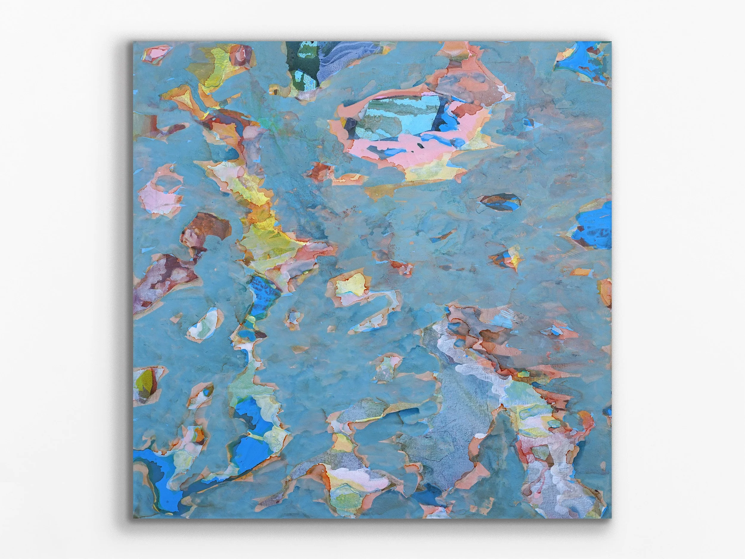 Winter Coquina, 2026