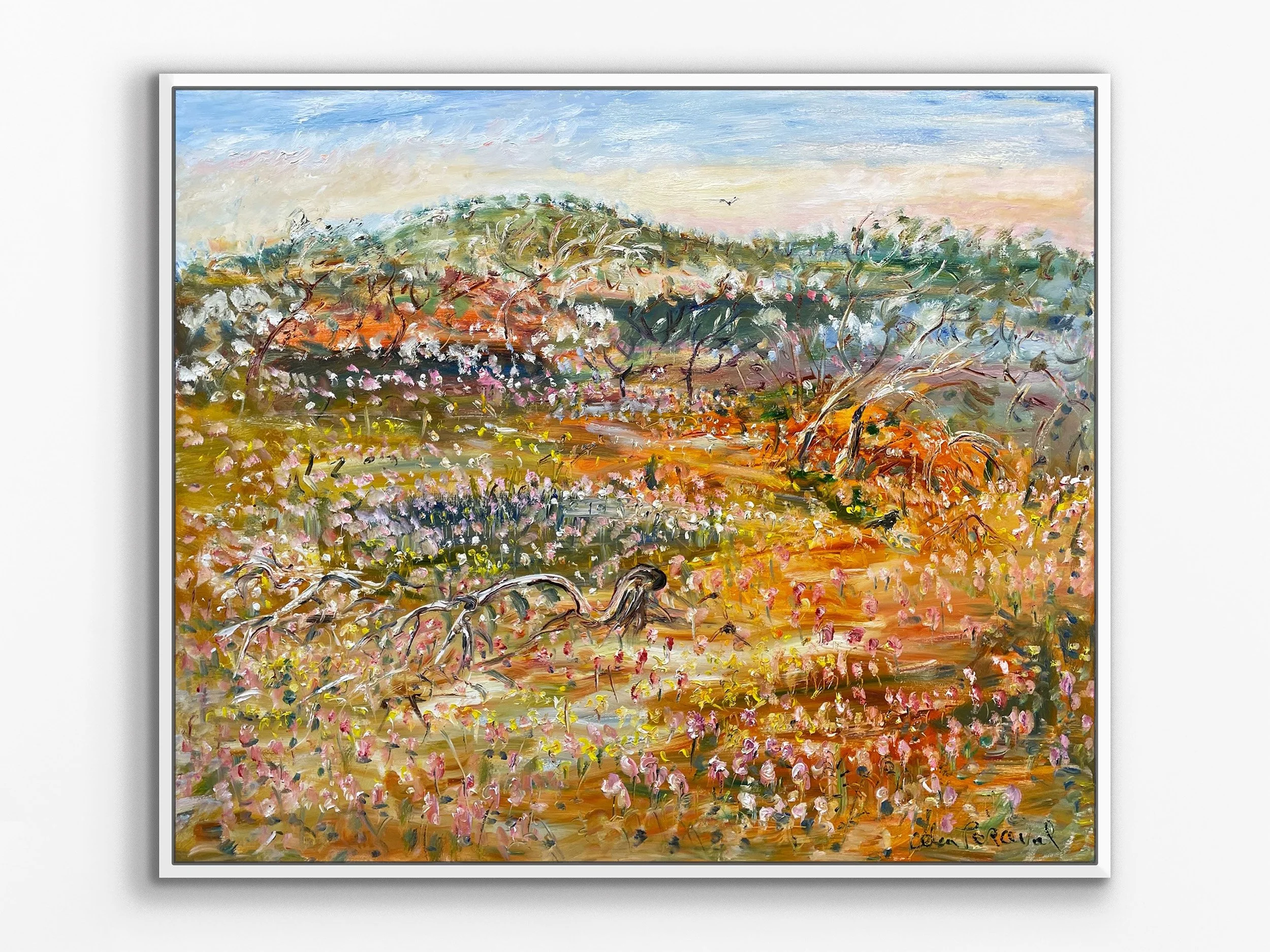 Desert Flowers after Rain, Road to Meekatharra, WA, 2024