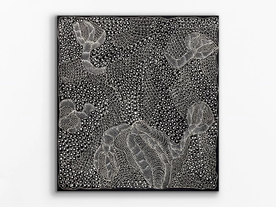 Ngintaka Perentie, 2024