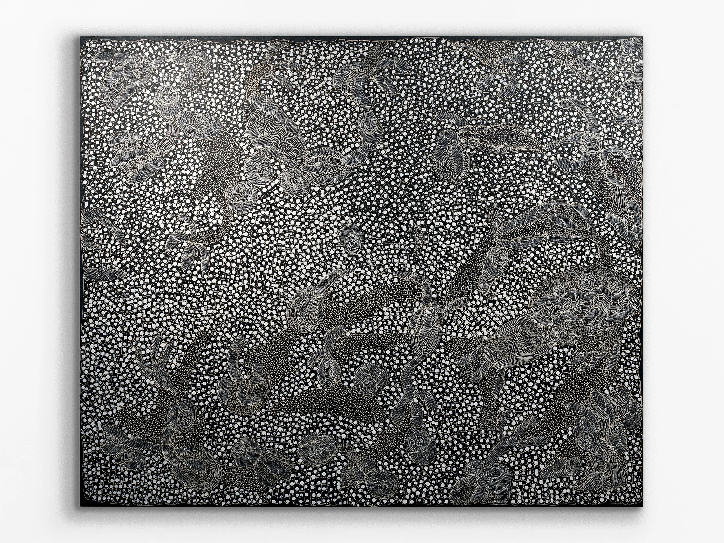 Ngintaka Perentie, 2024