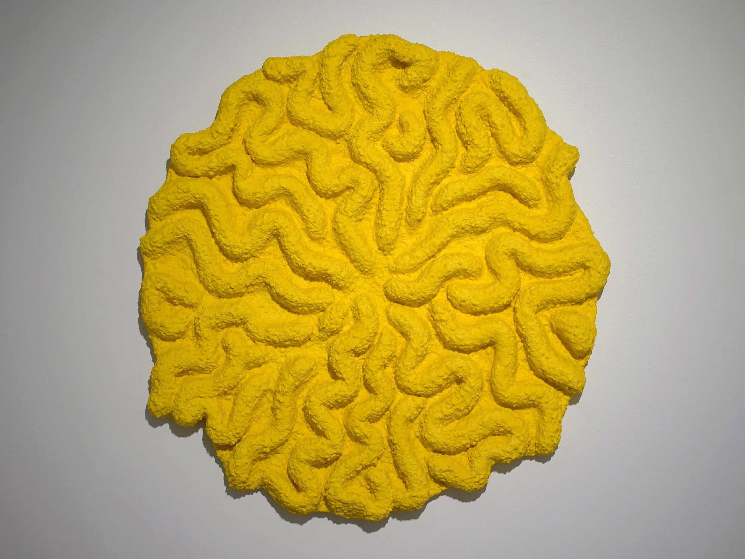 Soft Coral, 2025