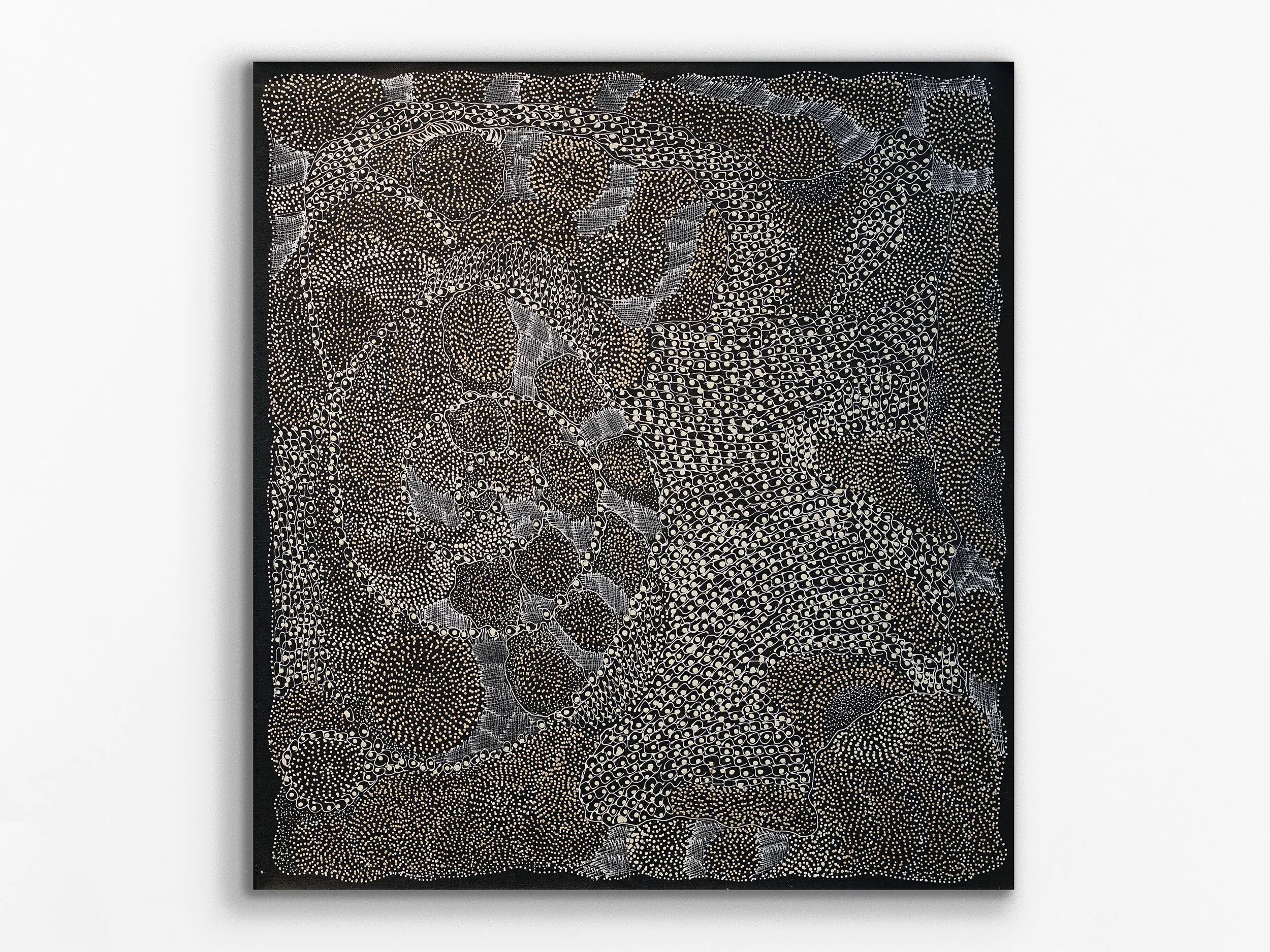 Ngintaka Perentie, 2022