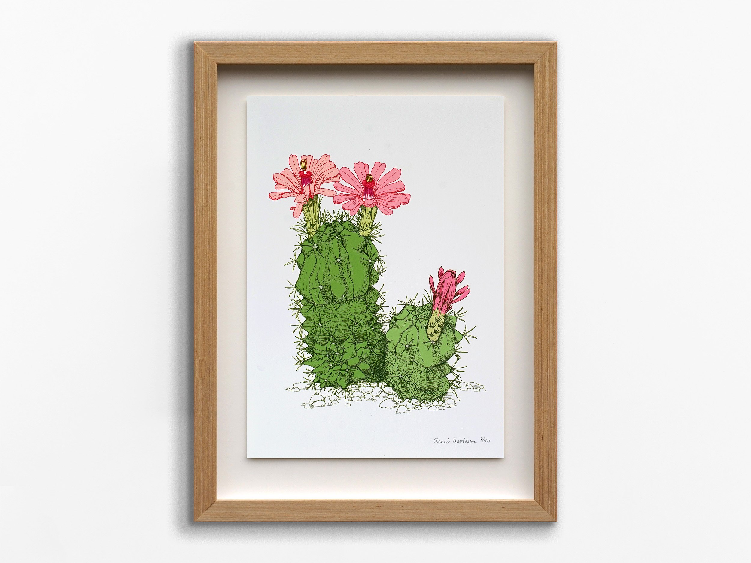Desert Flower