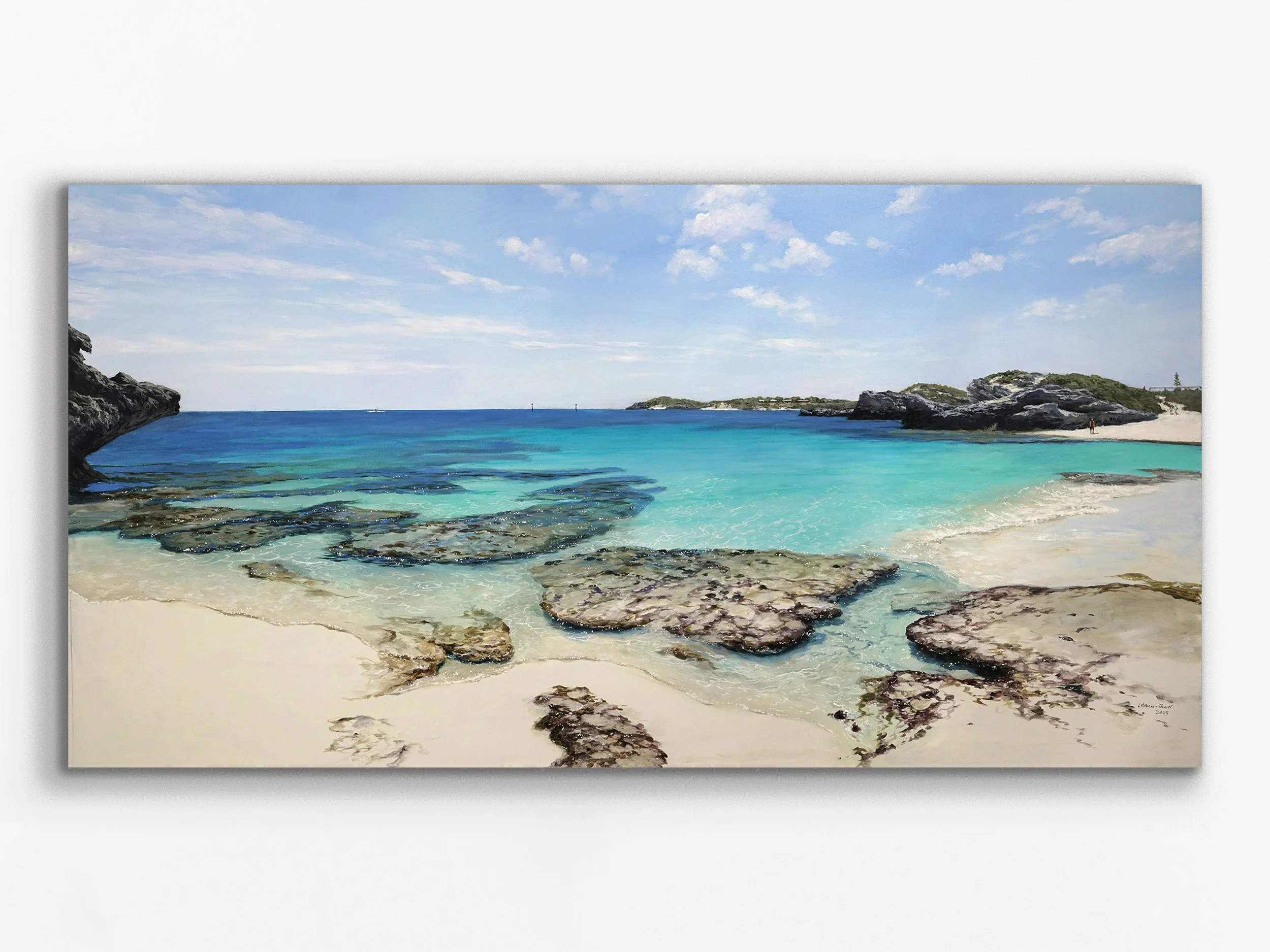 Little Parakeet, 2023