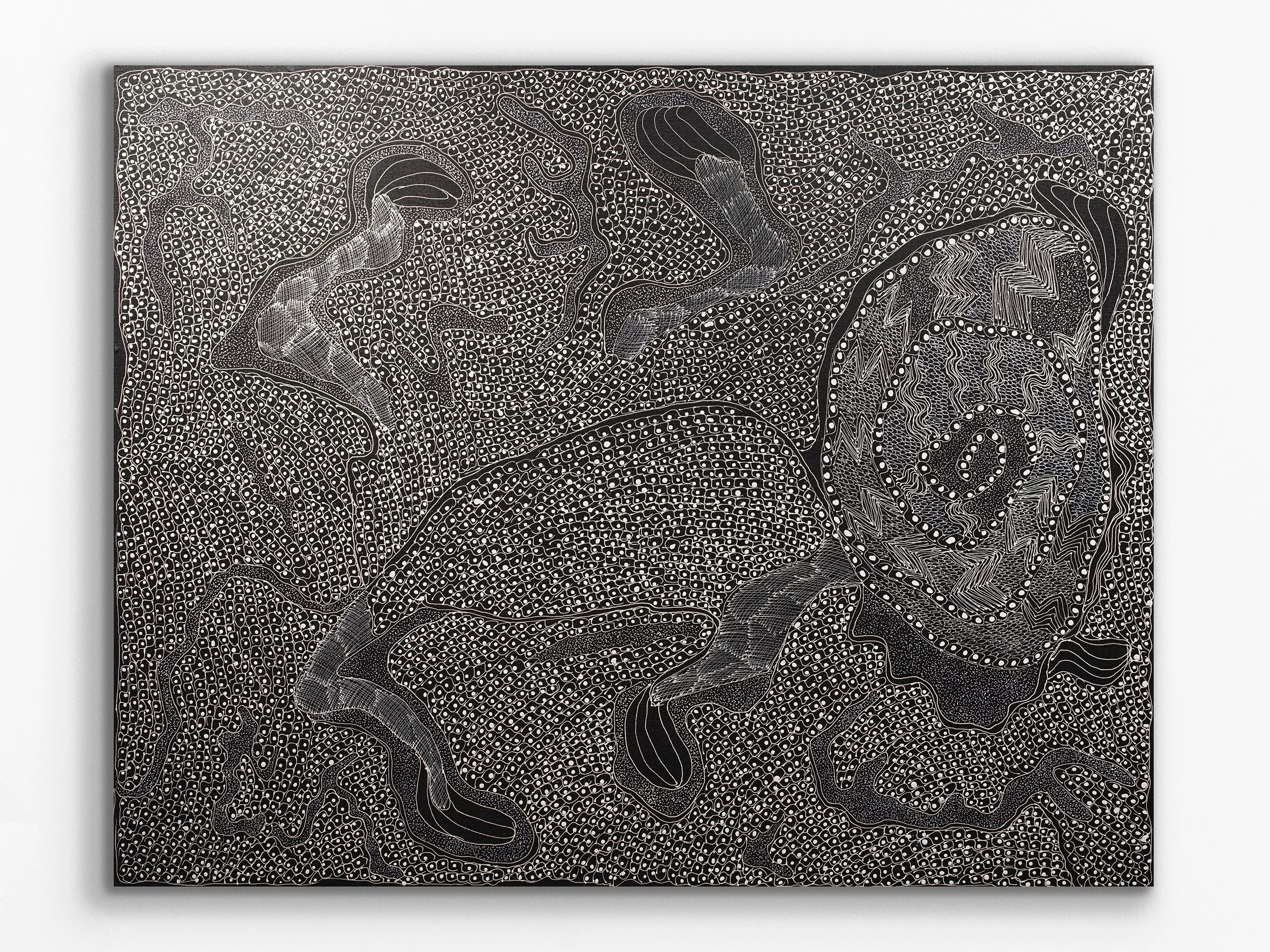 Ngintaka Perentie, 2023