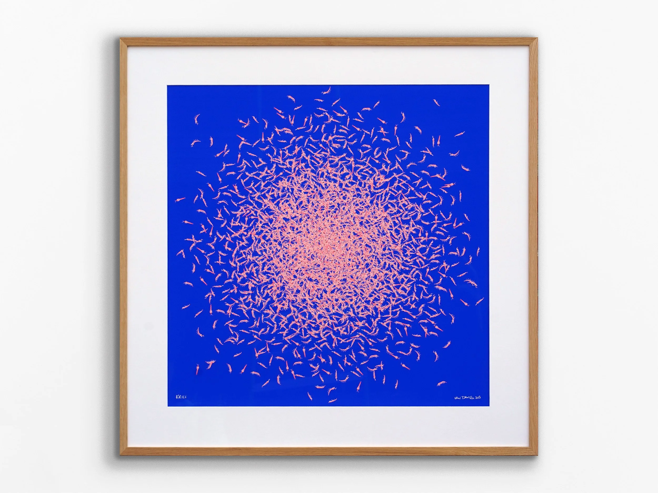 Krill Mini Swarm, Blue Edition, 2023