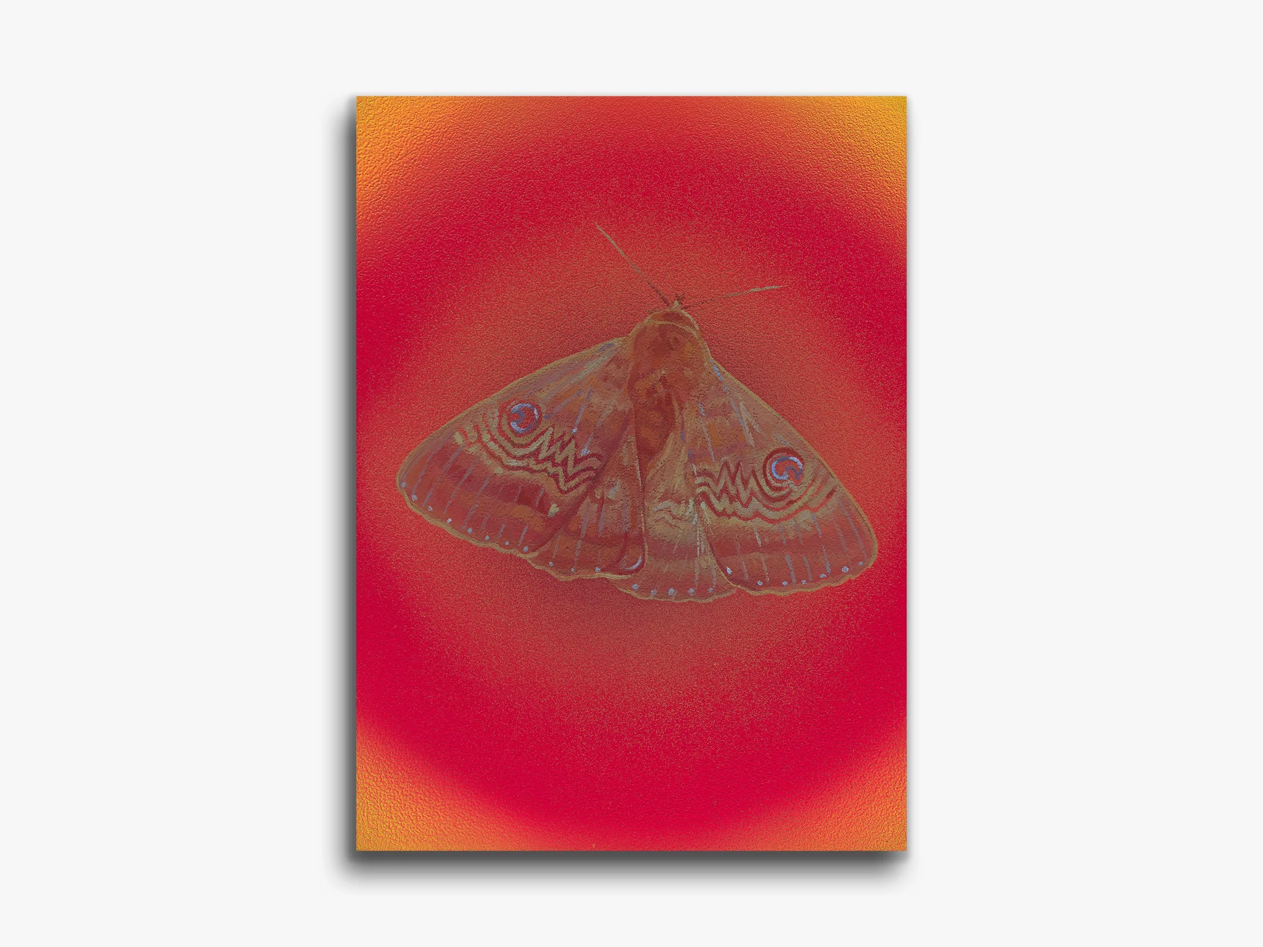 Flame Moth, Martha, 2026