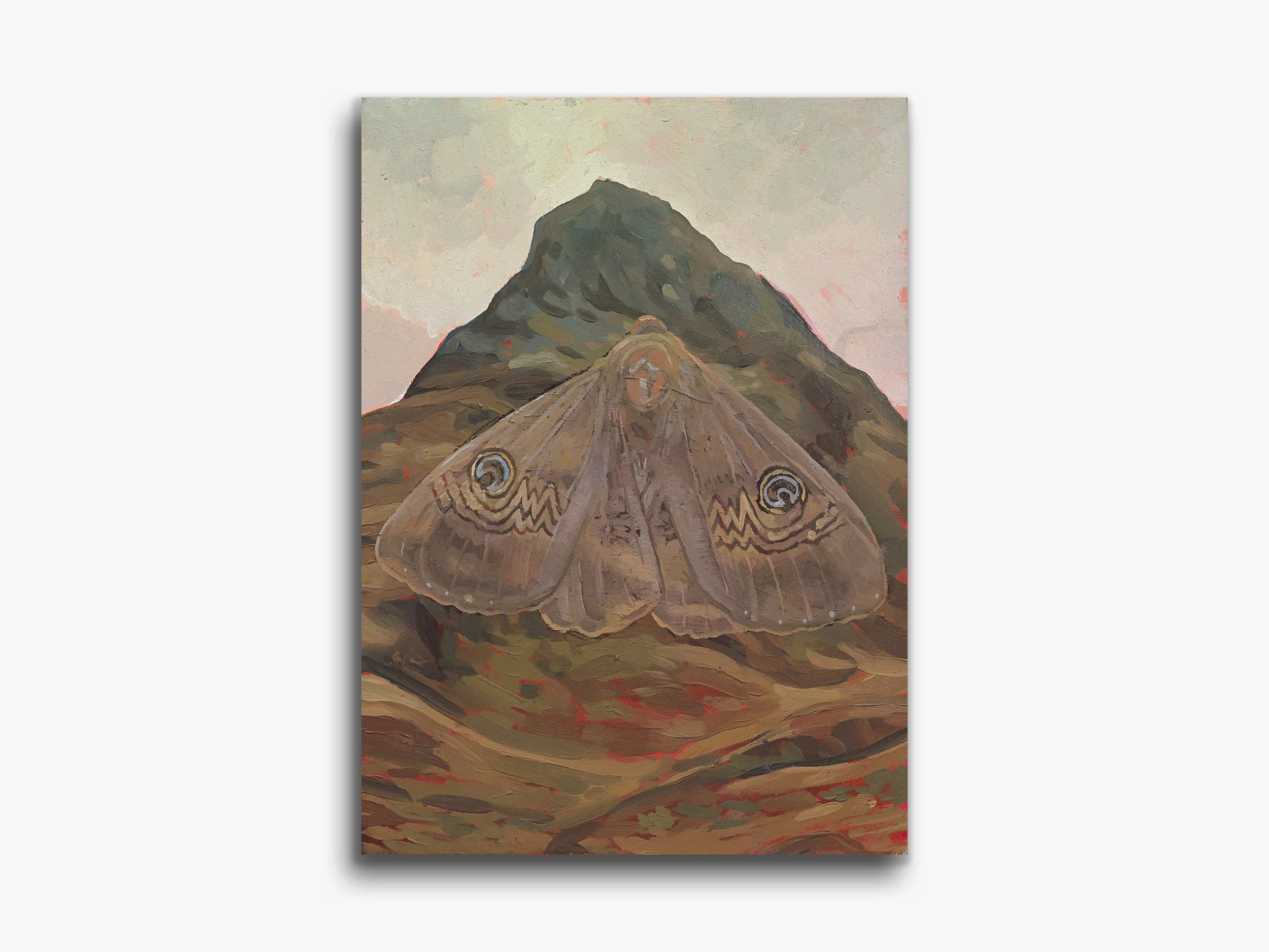 Ash Moth, Delilah, 2026