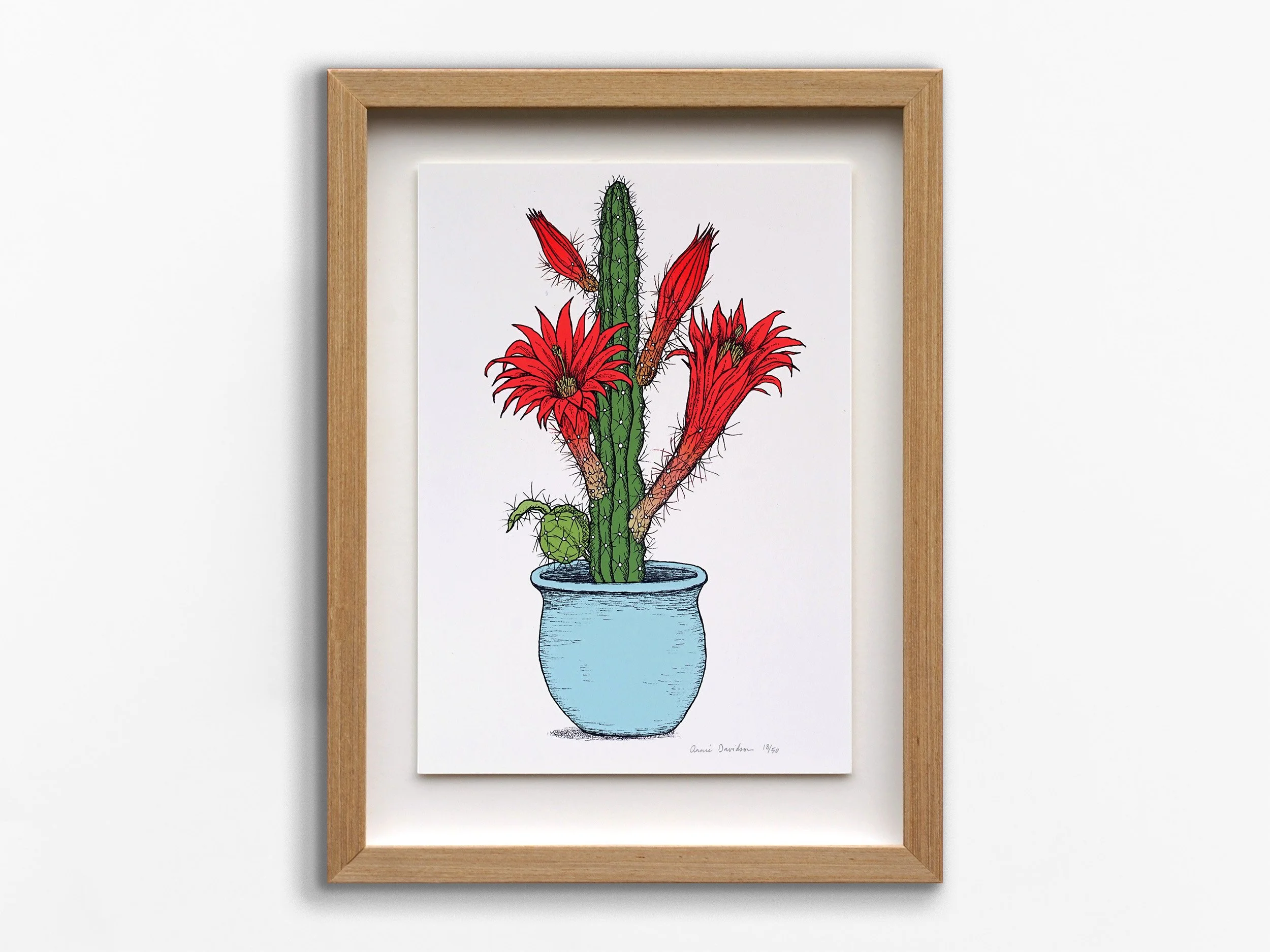 Cactus Pot