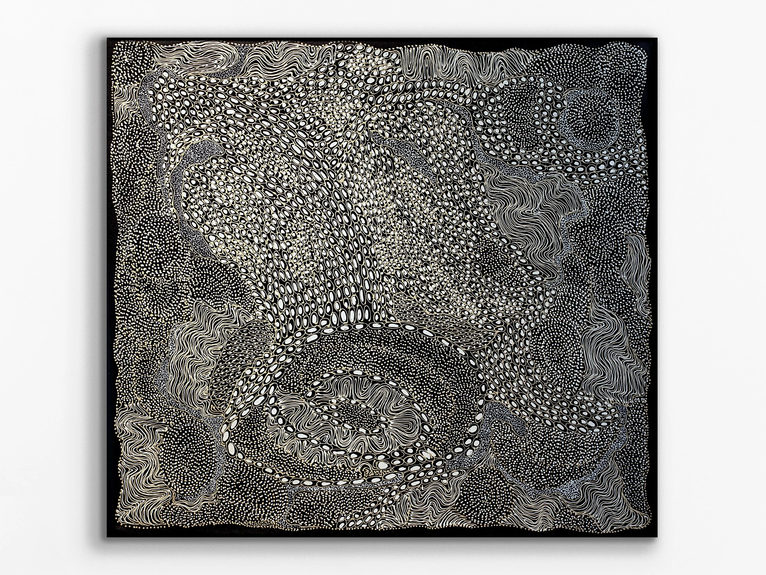 Ngintaka Perentie, 2022