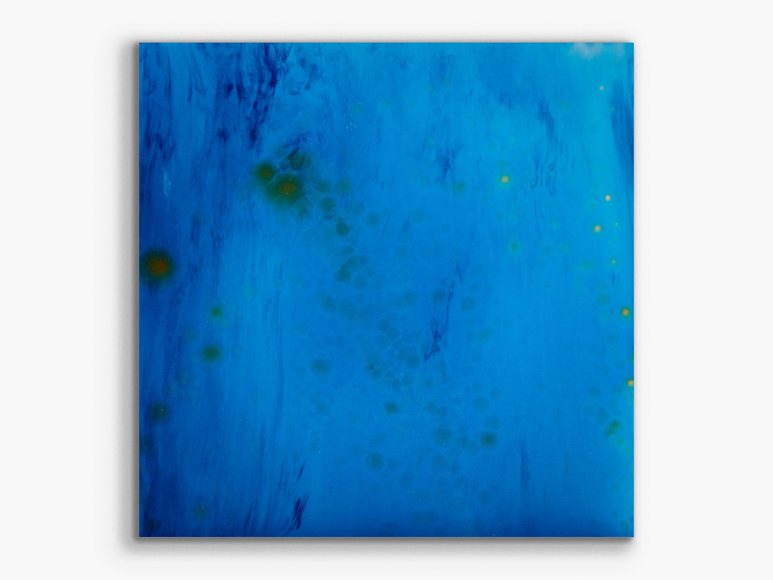 Xylem series: Avium36, 2024