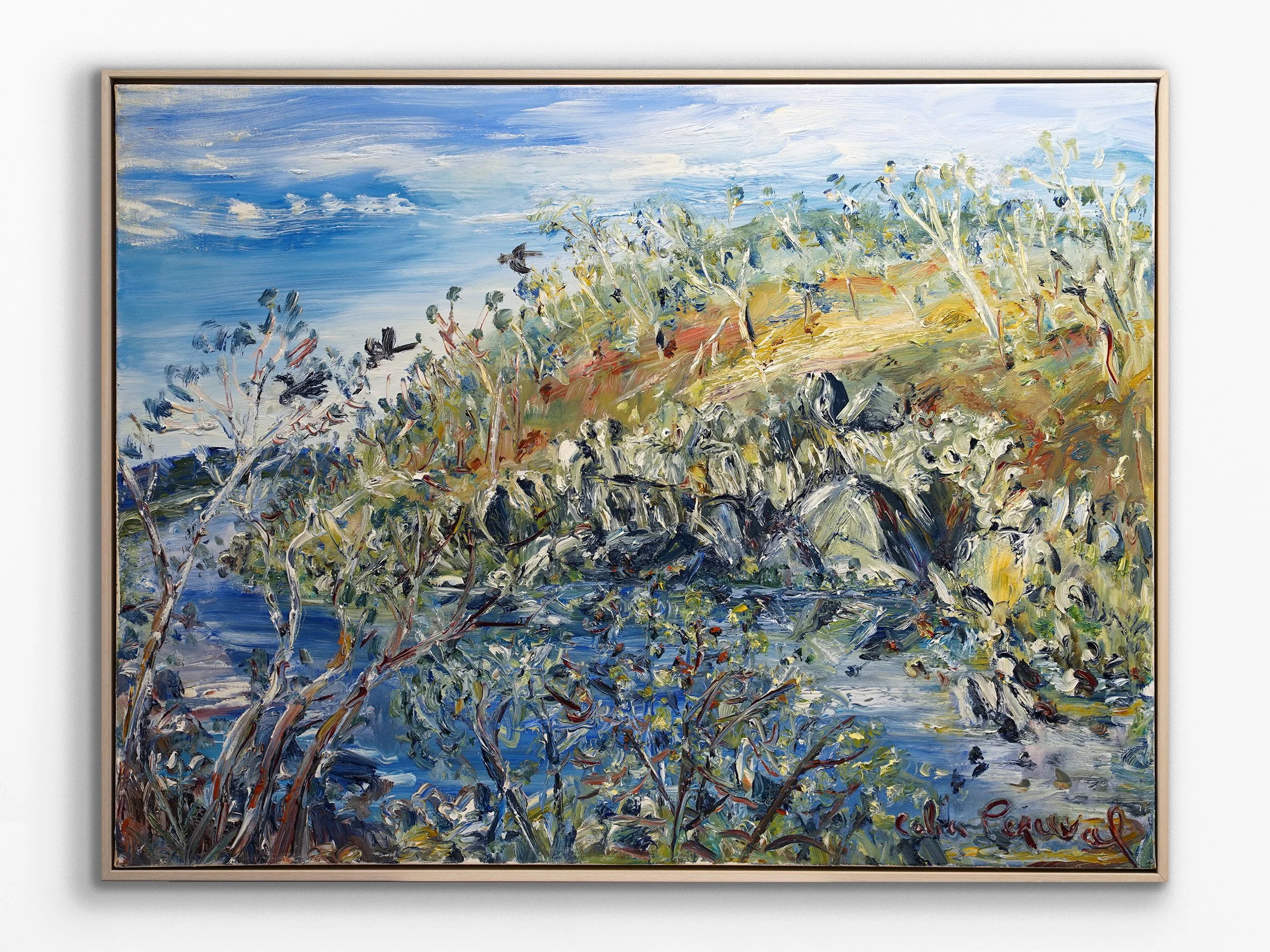 Rocks above the Shoalhaven River in the Afternoon