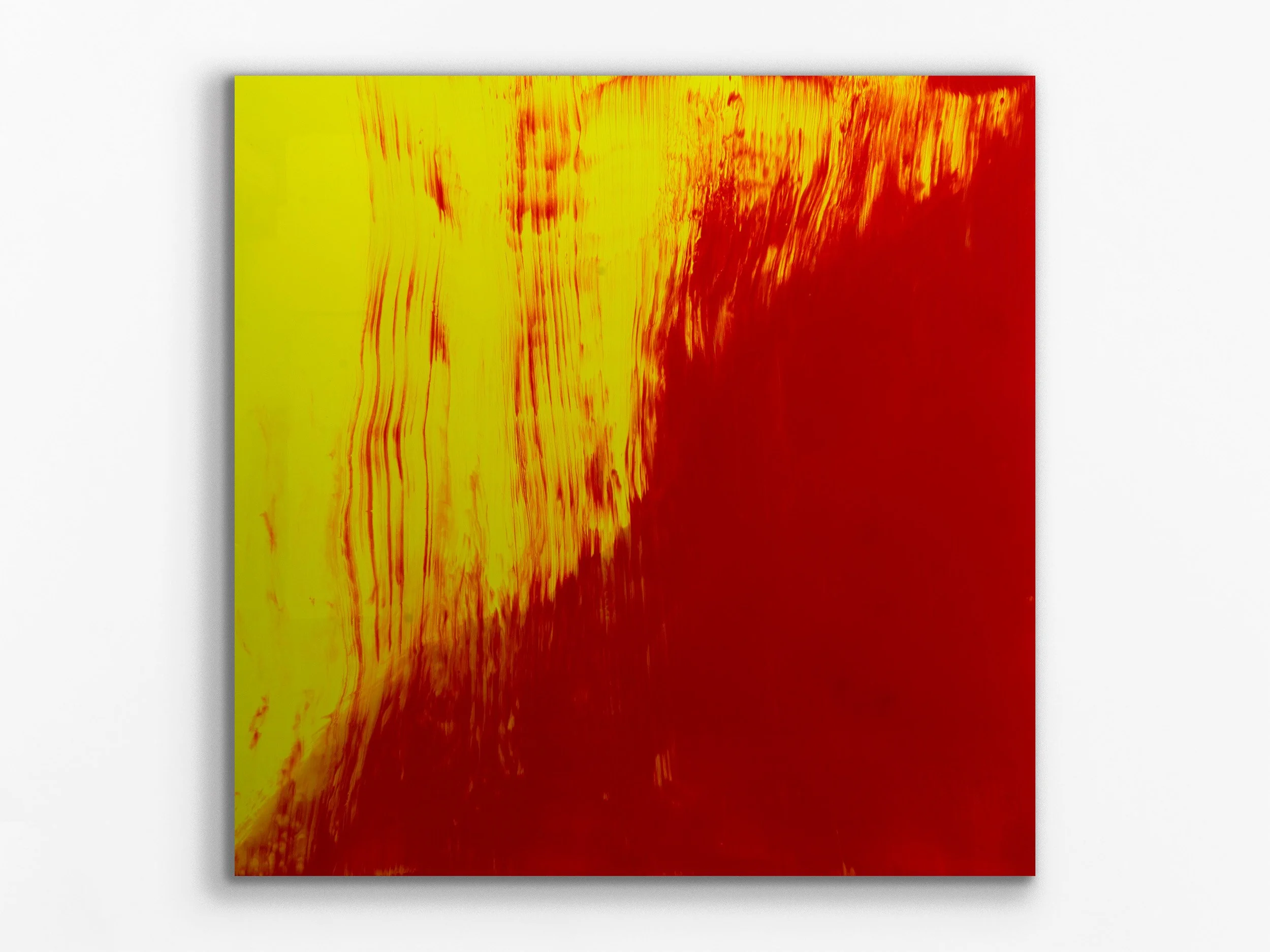 xylem series: haplostele84, 2025