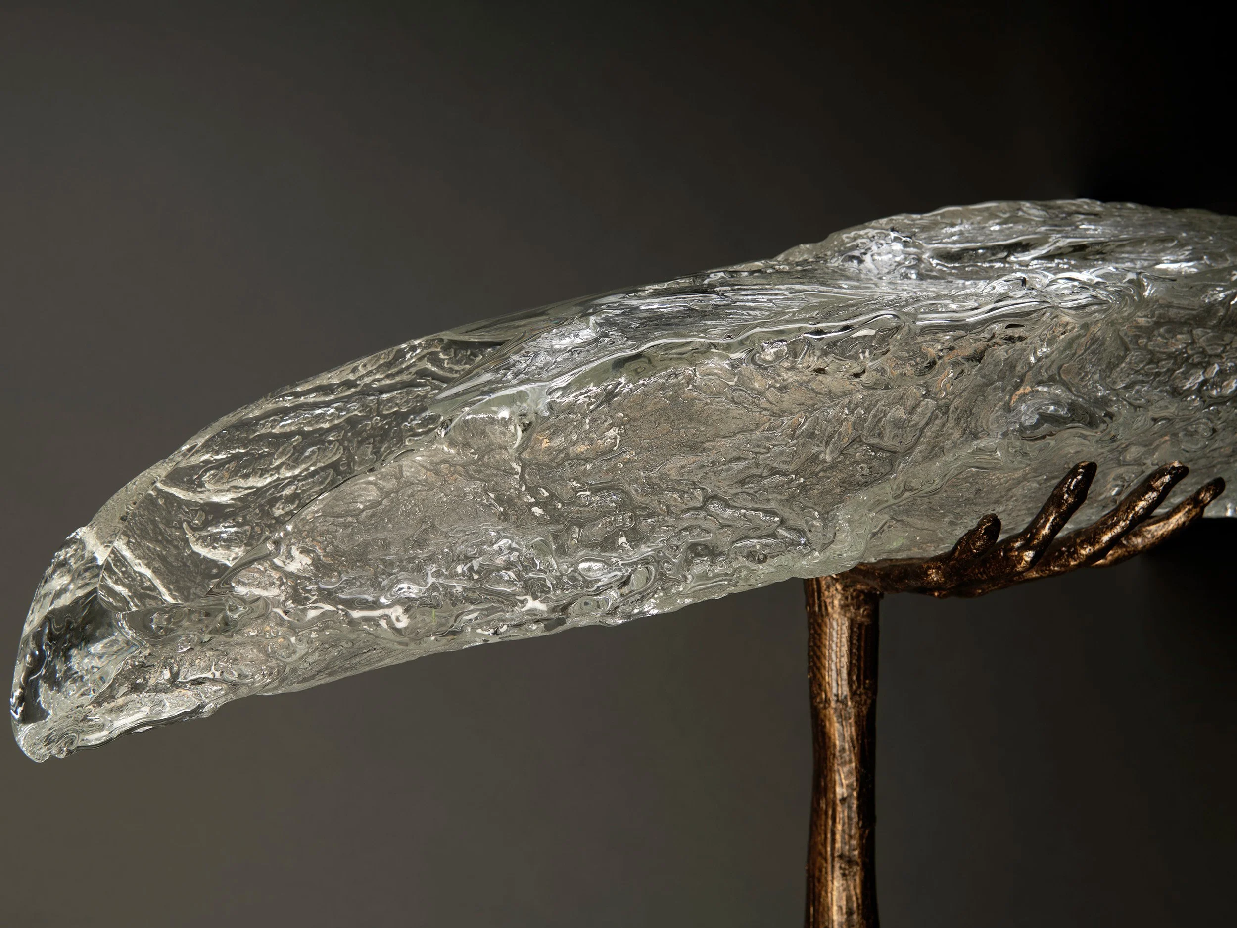 30073_EucalyptusCamaldulensis (3)_Ruth Allen.jpg