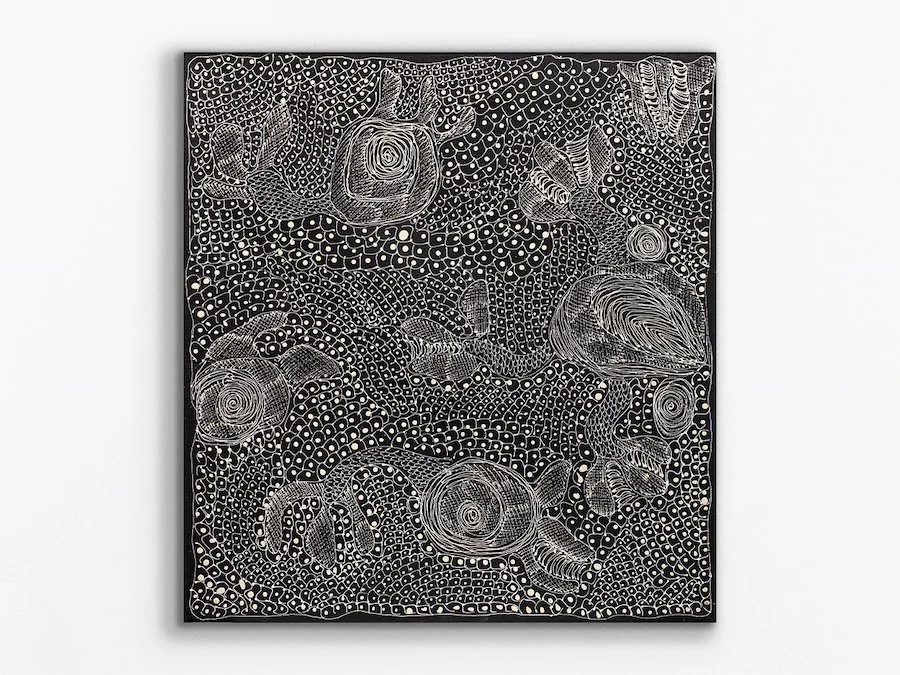 Ngintaka Perentie, 2024