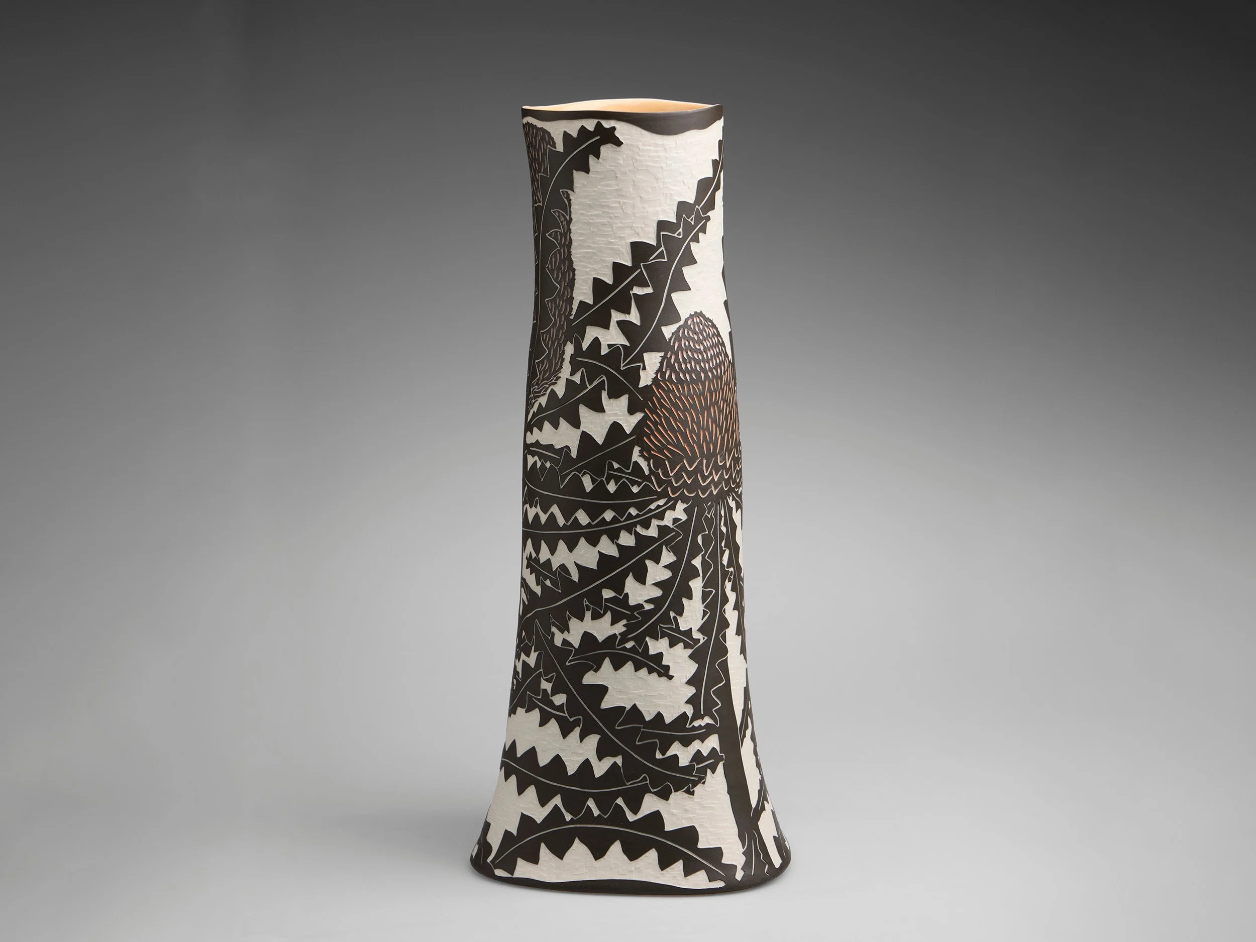 Woolly Orange Banksia (Banksia victoriae), 2024