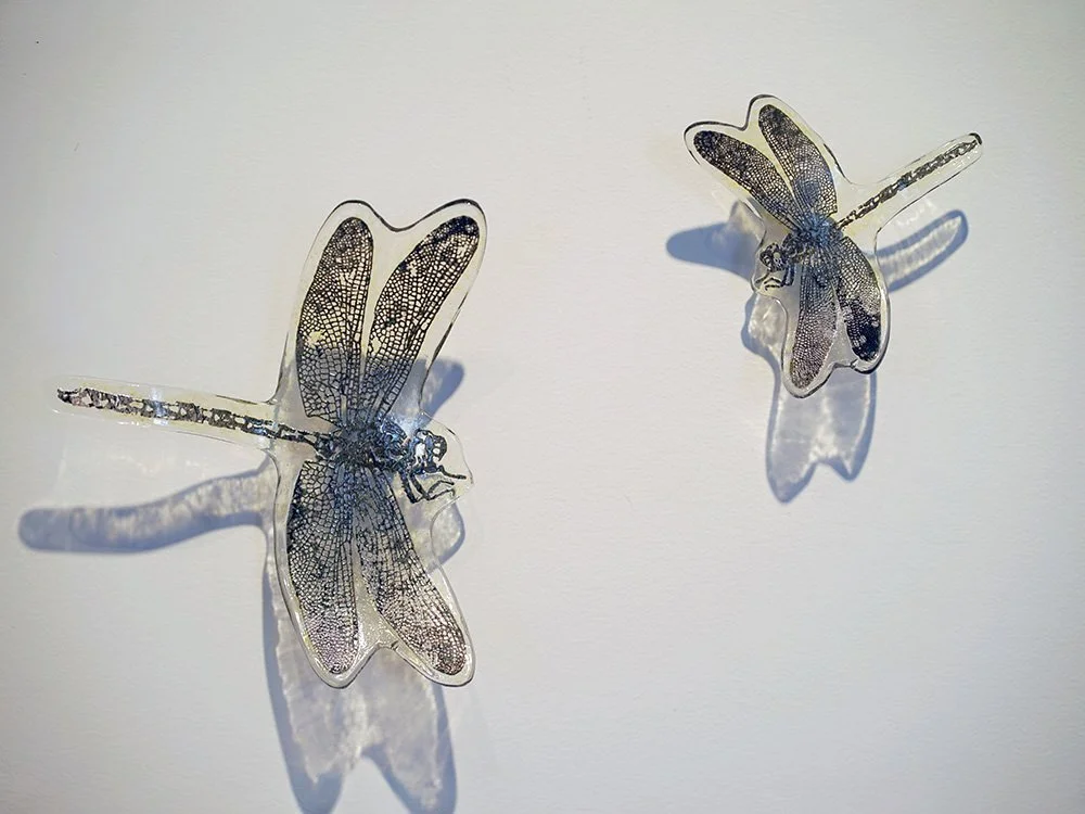 Tiger tails, Dragonflies