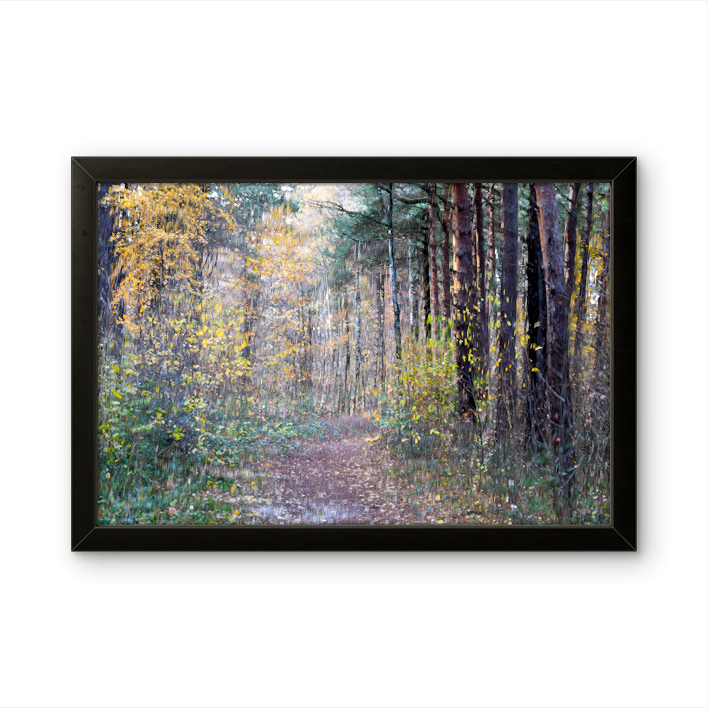 Forest path in autumn MG.png