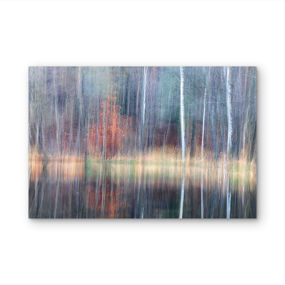 Misty trees in water D.png