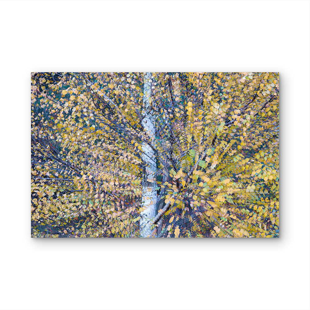 Falling leaves D.png
