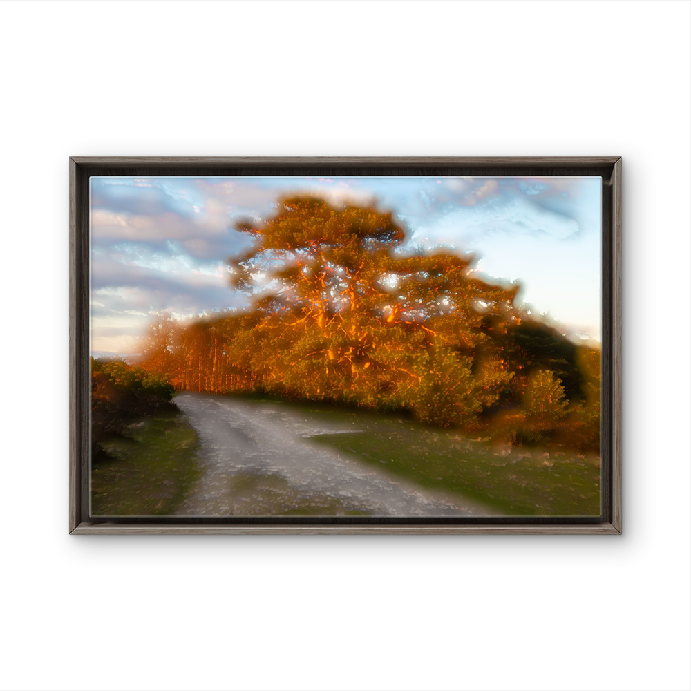 Burning trees BL.png