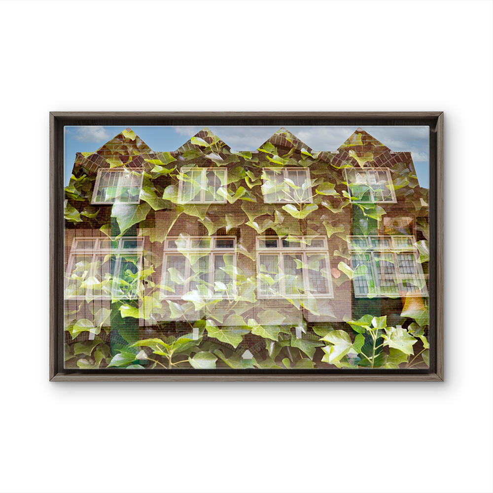 Leafy house of joy BL.png