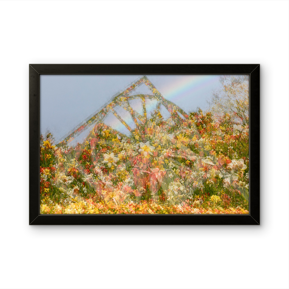 Wheel of flowers MG.png