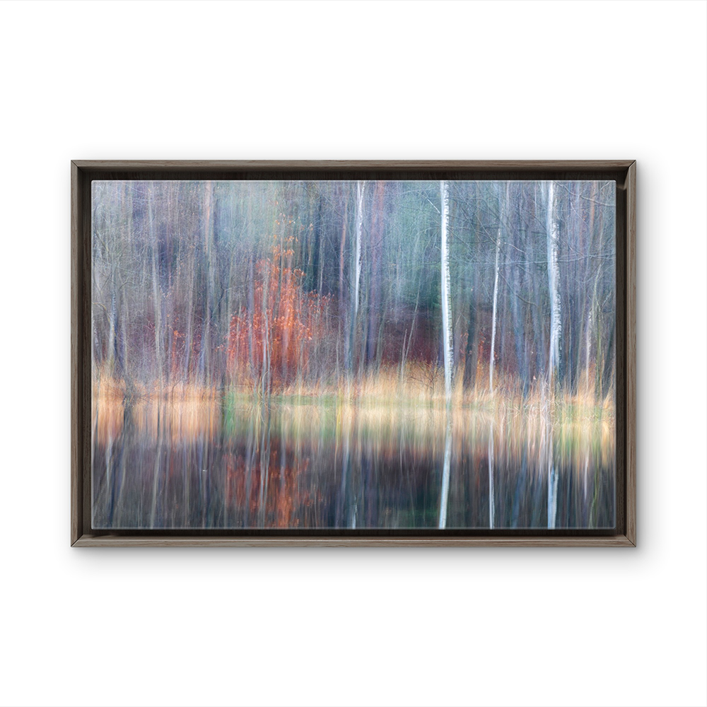 Misty trees in water BL.png