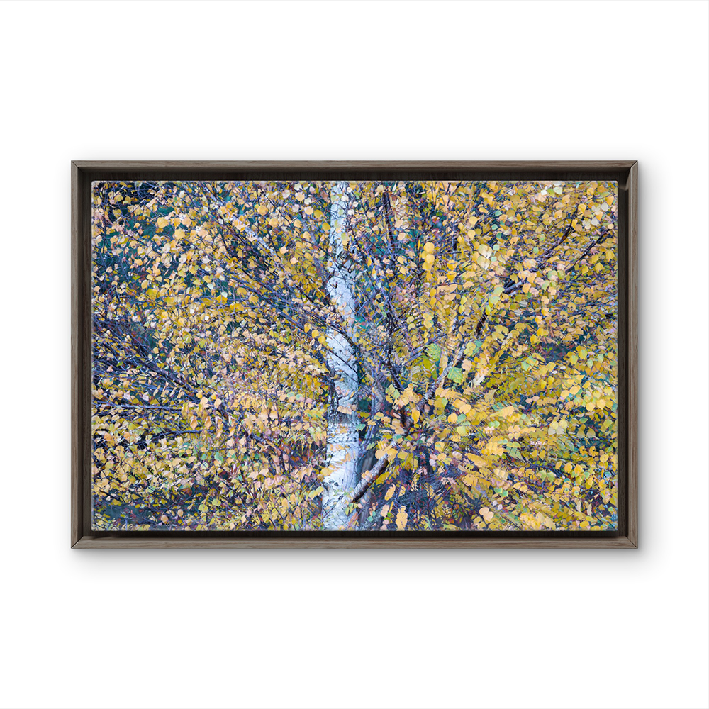 Falling leaves BL.png