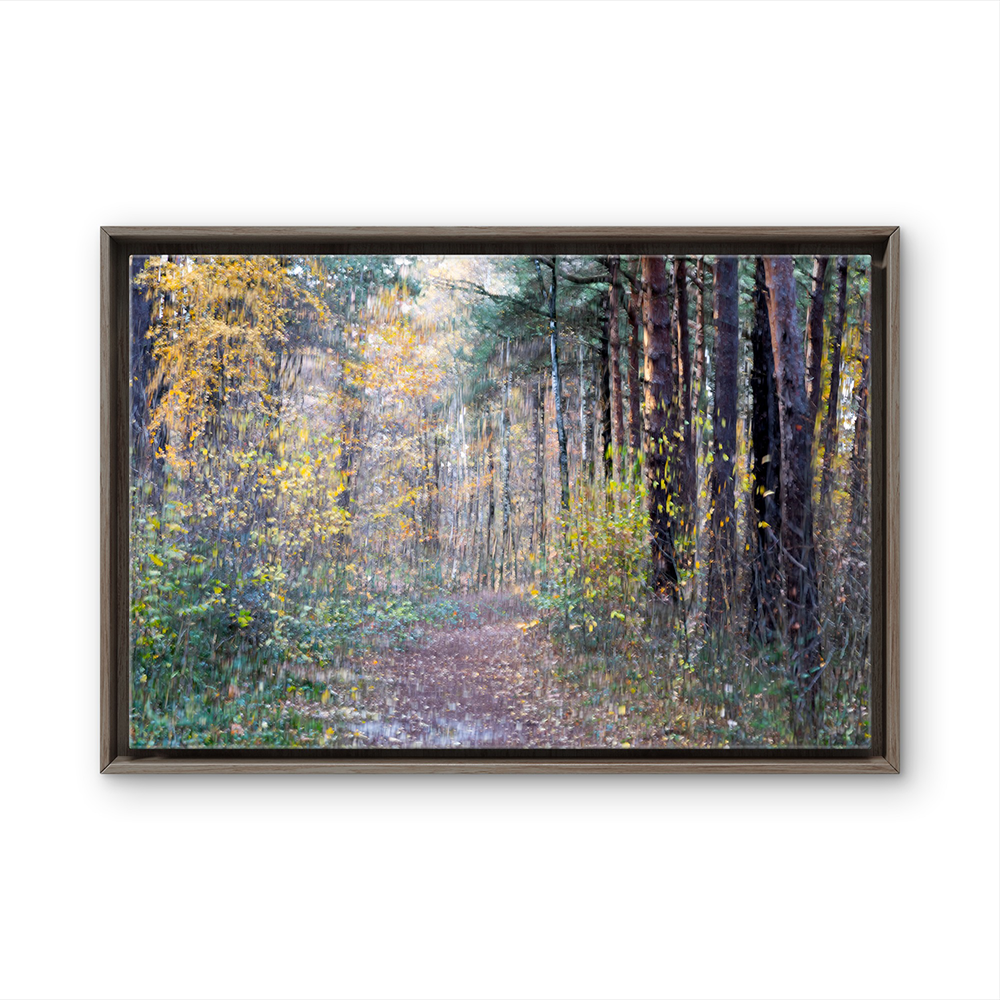 Forest path in autumn BL.png