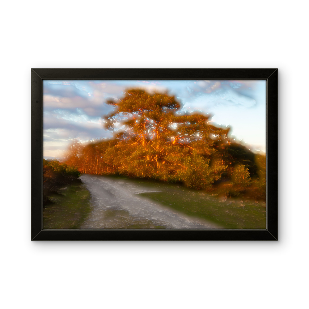Burning trees MG.png