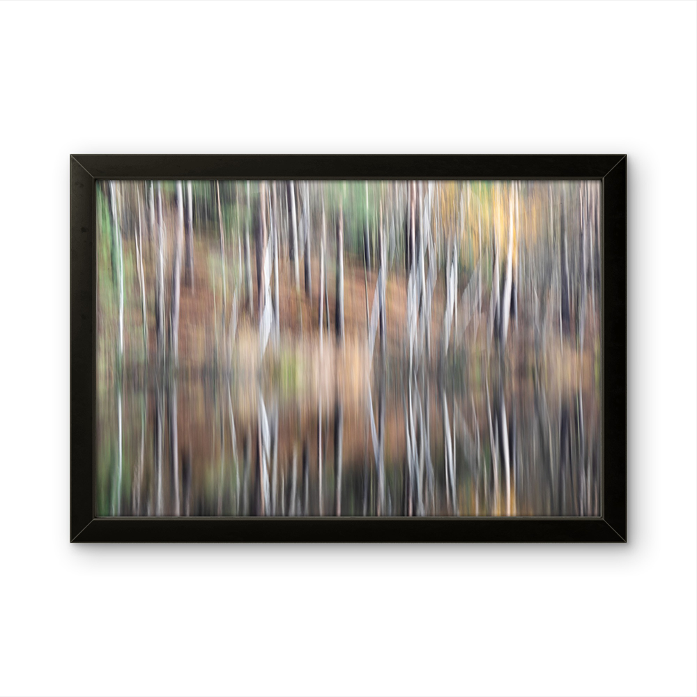 Reflection of trees MG.png