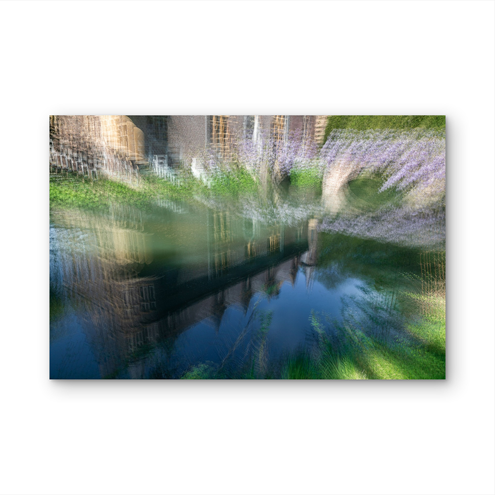 Terworm reflects D.png