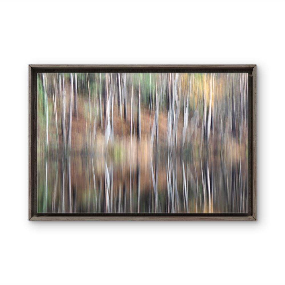 Reflection of trees BL.png