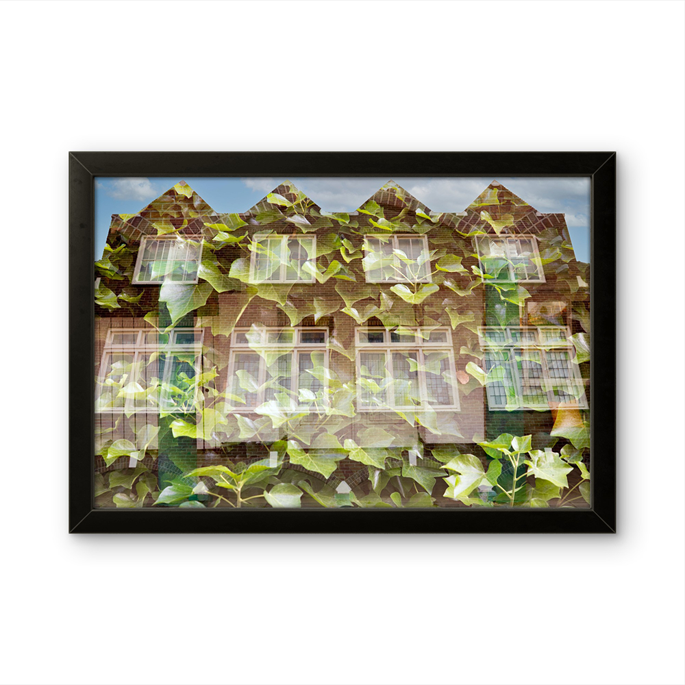 Leafy house of joy MG.png